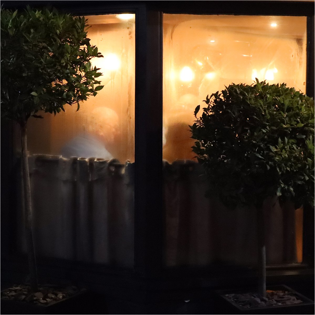 Night Stroll 02 by Linda Oliver