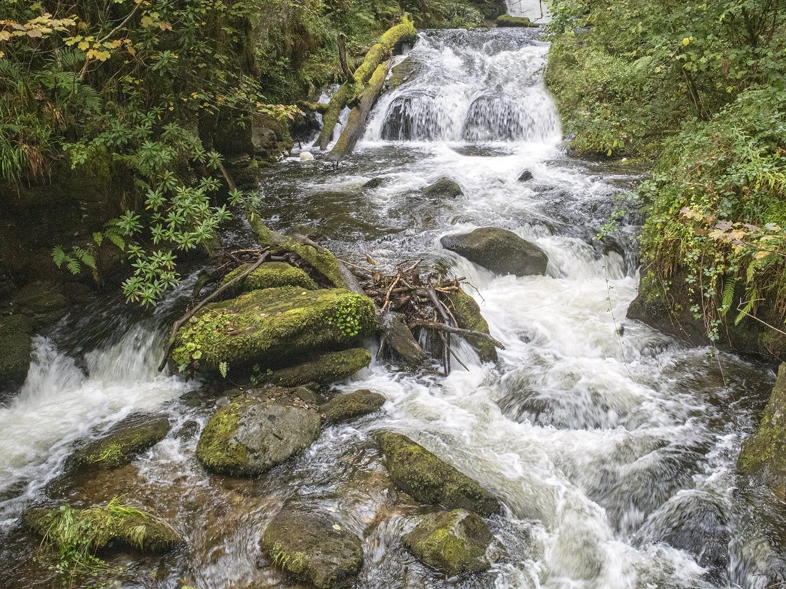 003_Watersmeet_Linda Oliver