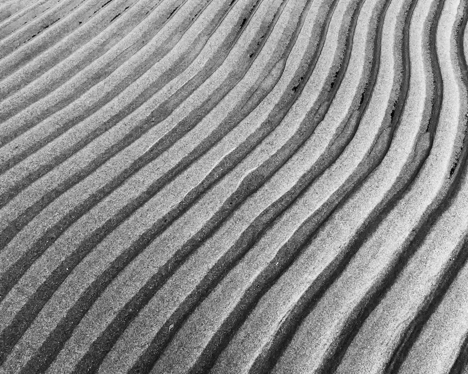 Second 'Lines on a beach' by Steve Sims