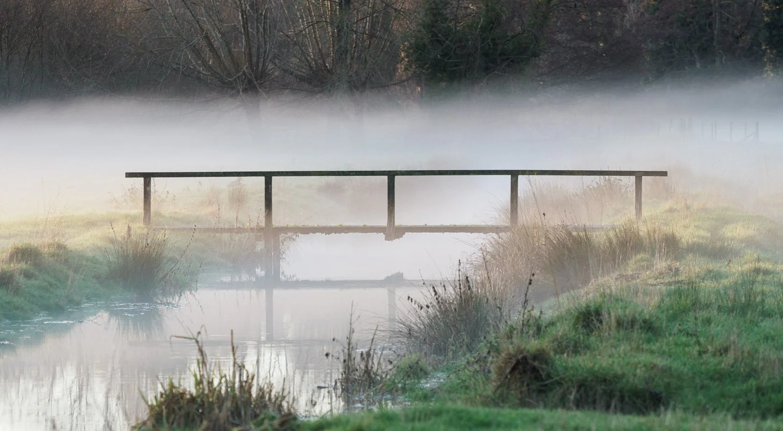 001_Mist over the Water Meadows 1_Mike Brown