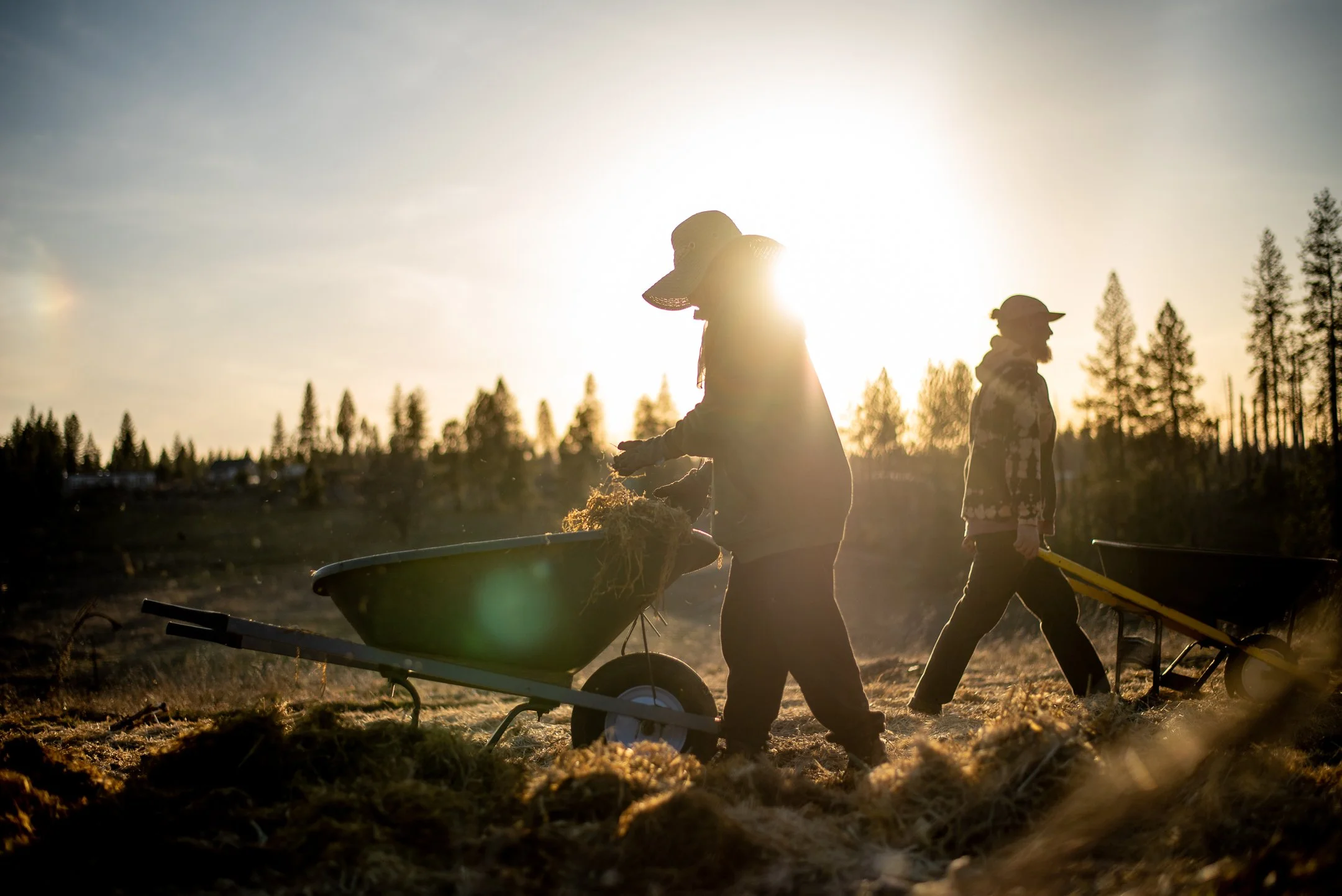 Mulching-5.jpg