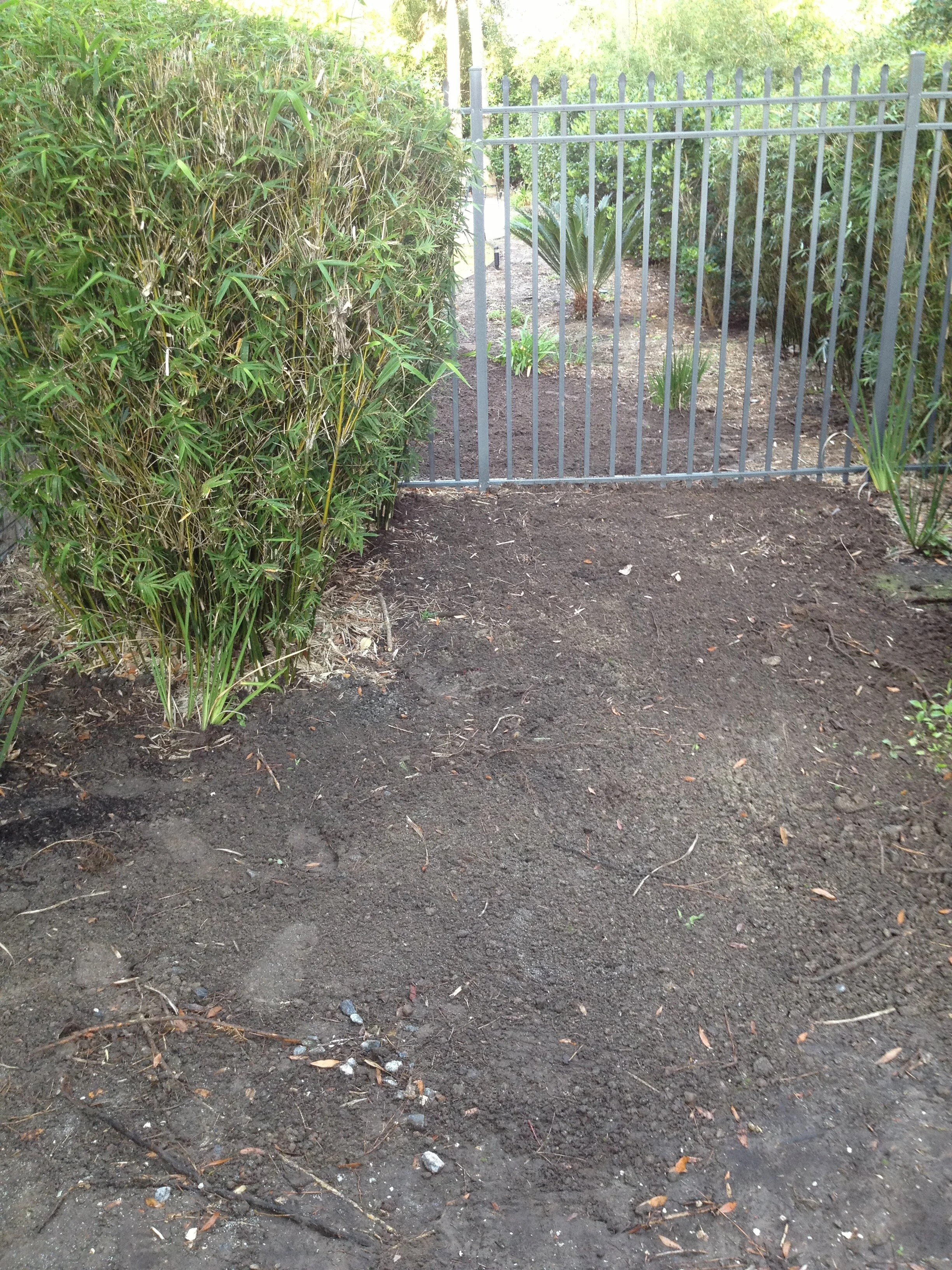 I phone update 6-5-13 788.JPG