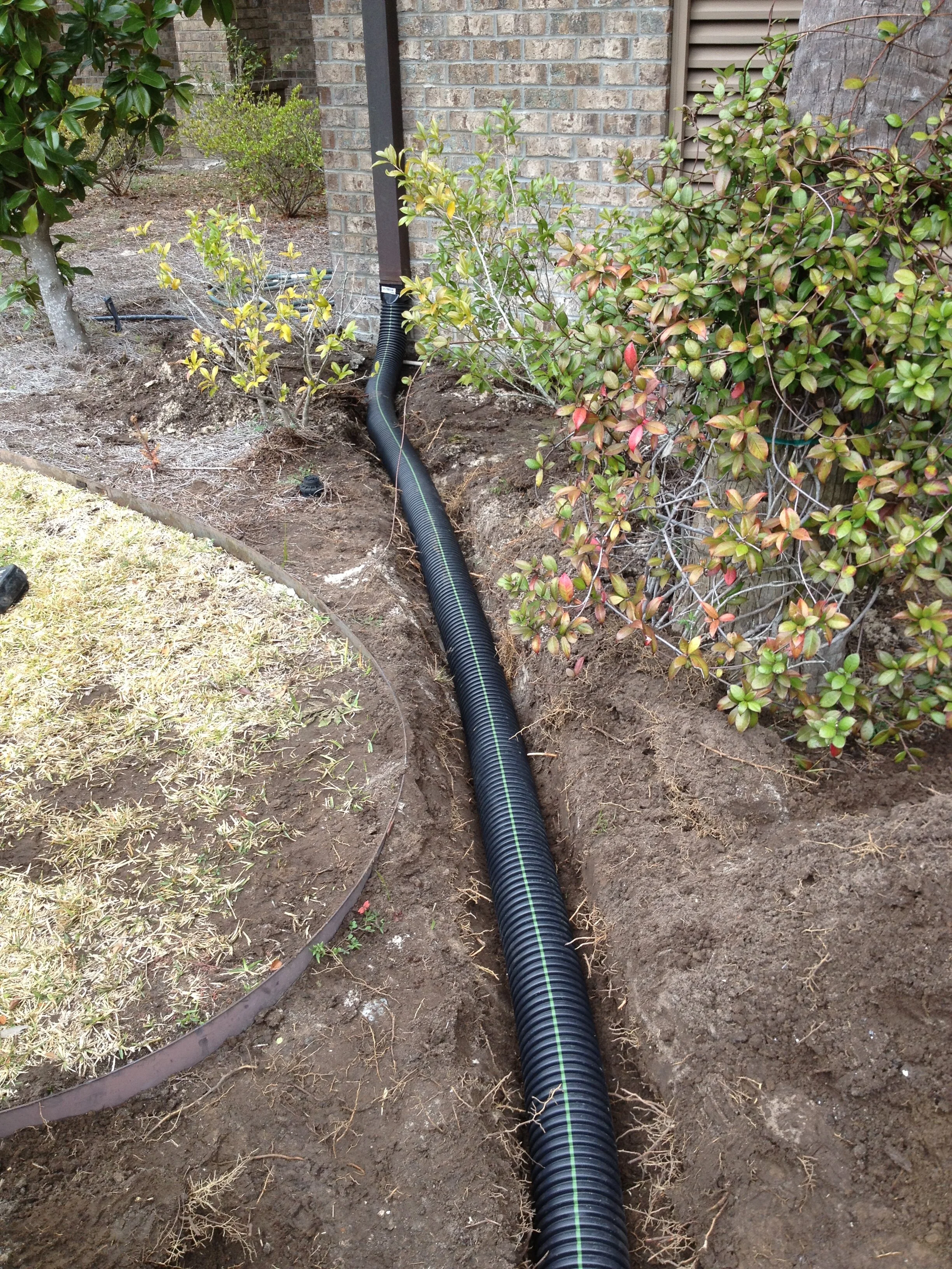 I phone update 6-5-13 782.JPG