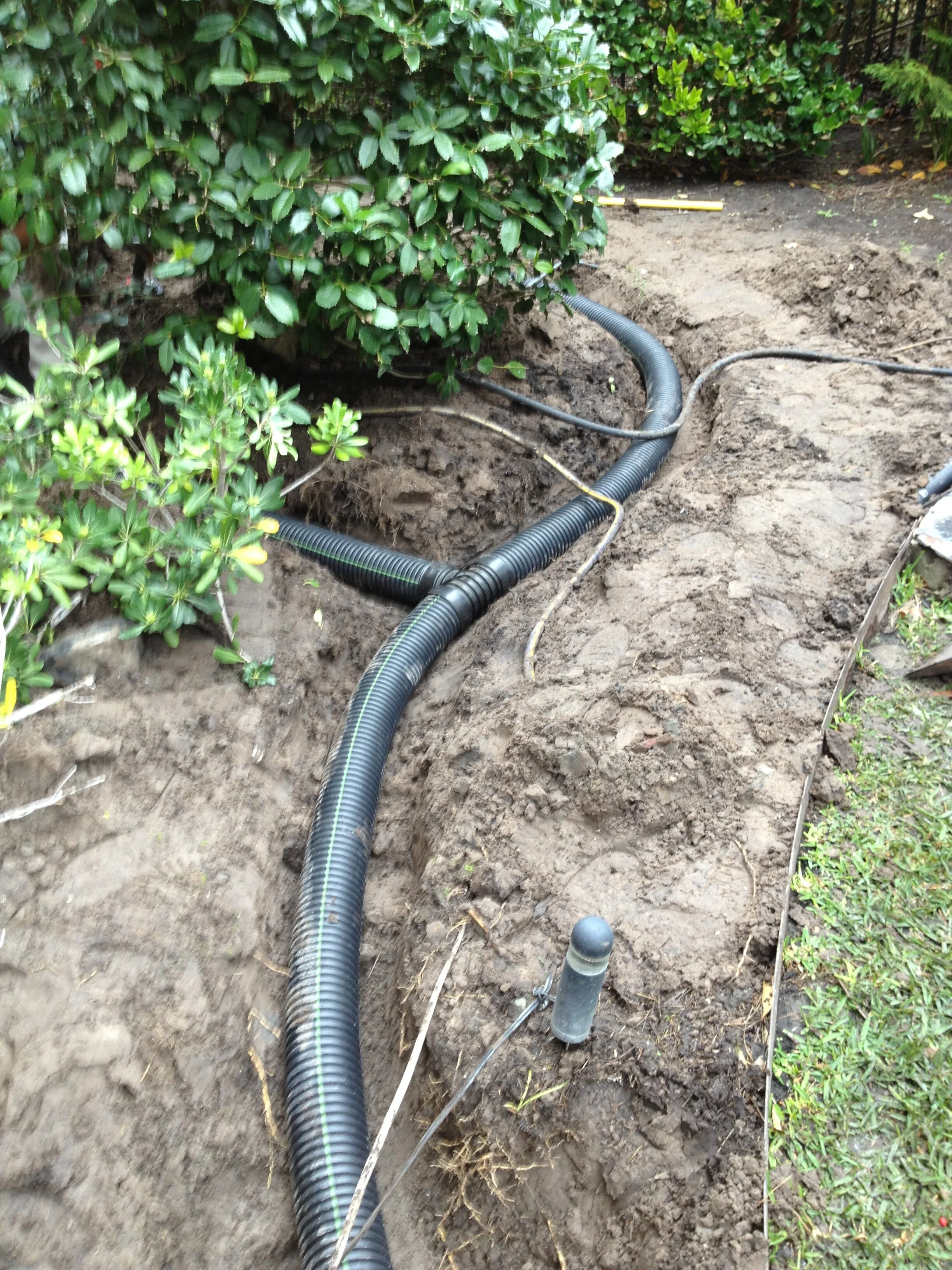 I phone update 6-5-13 766.JPG