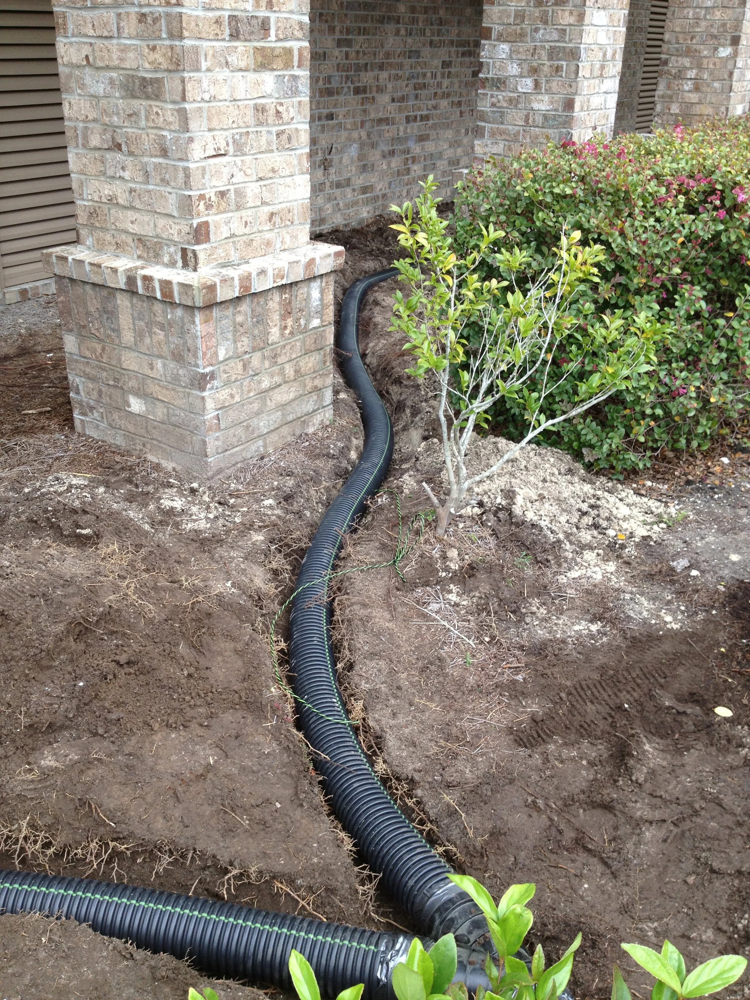 I phone update 6-5-13 781.JPG