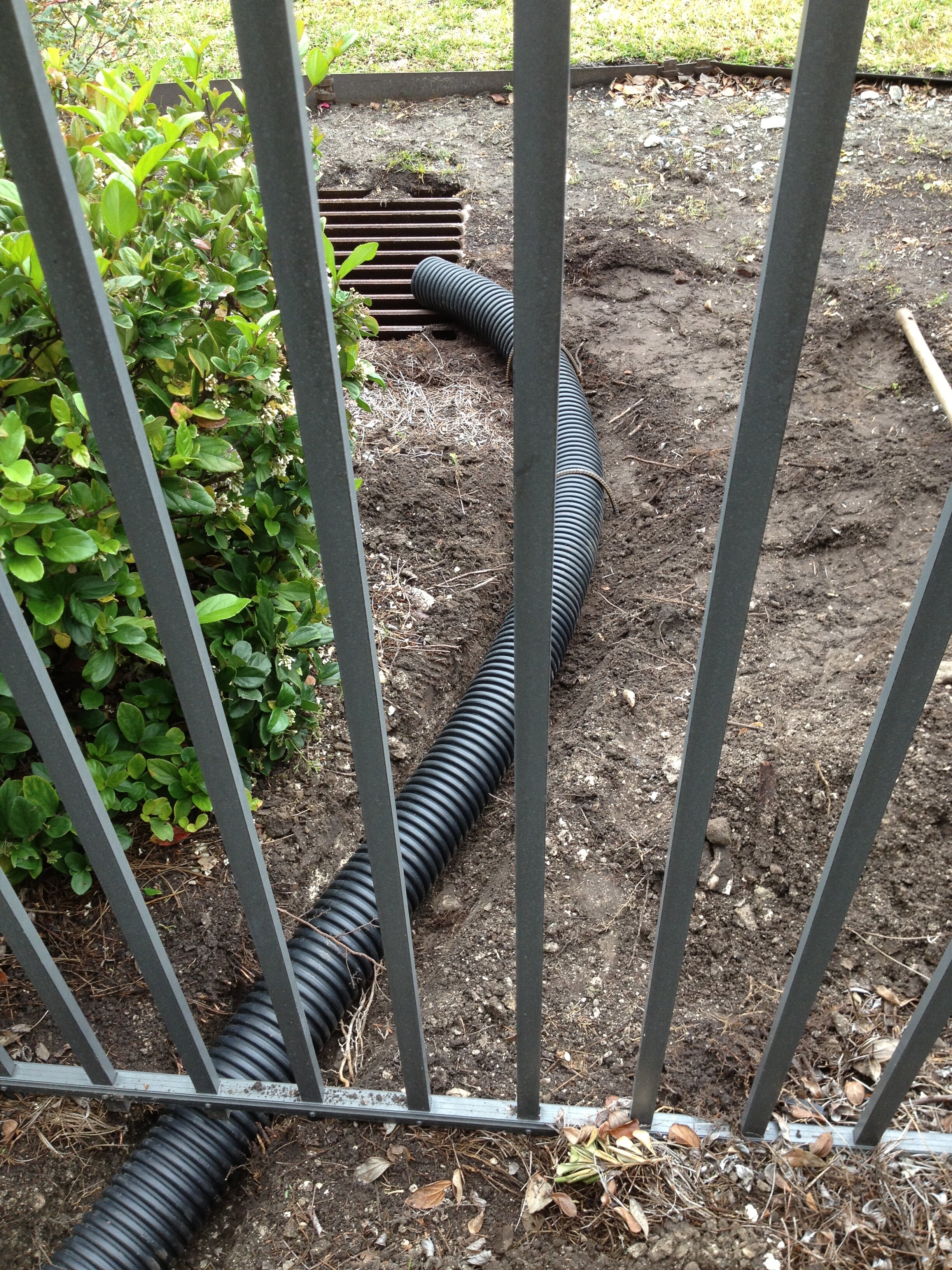 I phone update 6-5-13 780.JPG