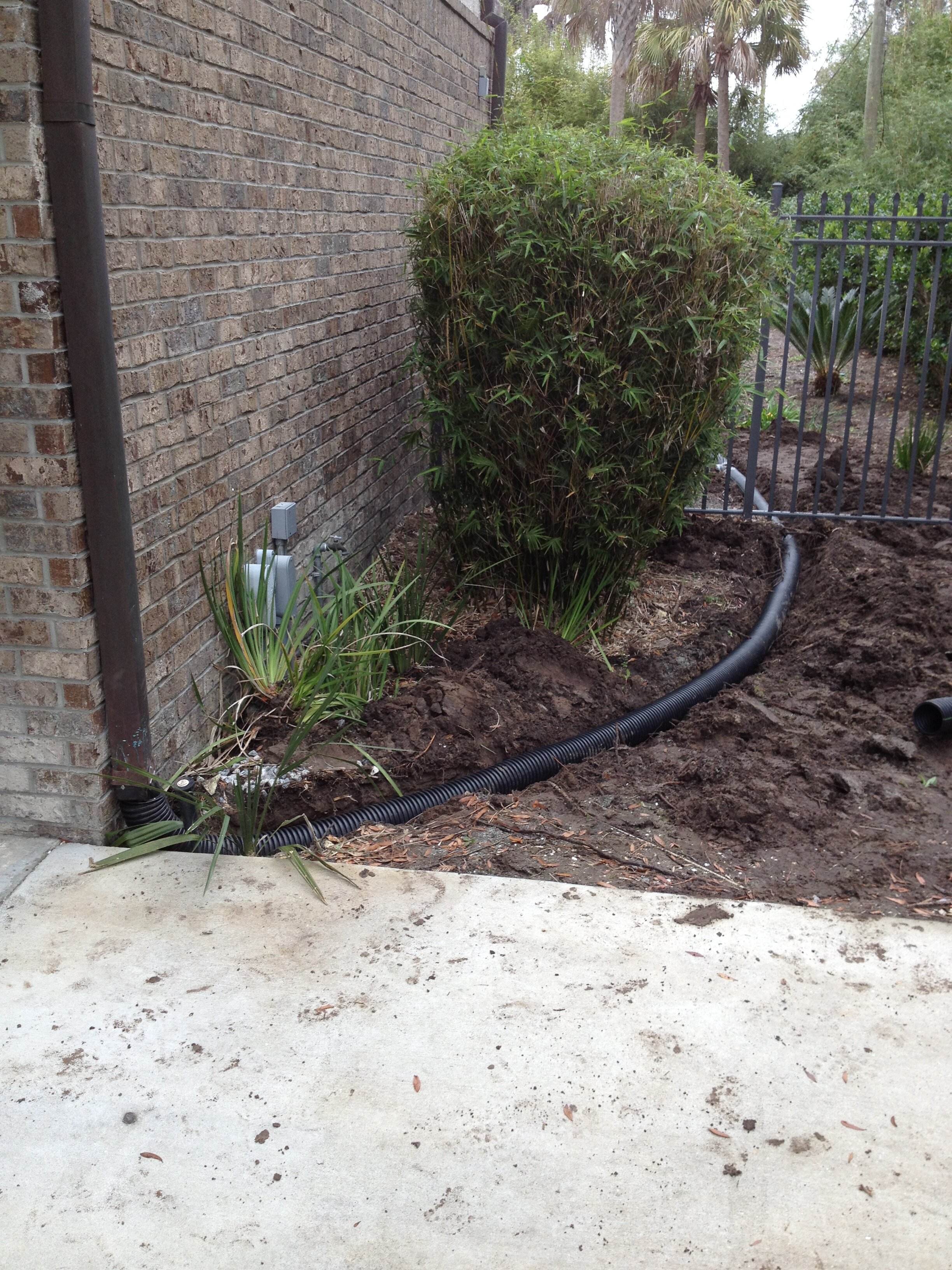 I phone update 6-5-13 773.JPG