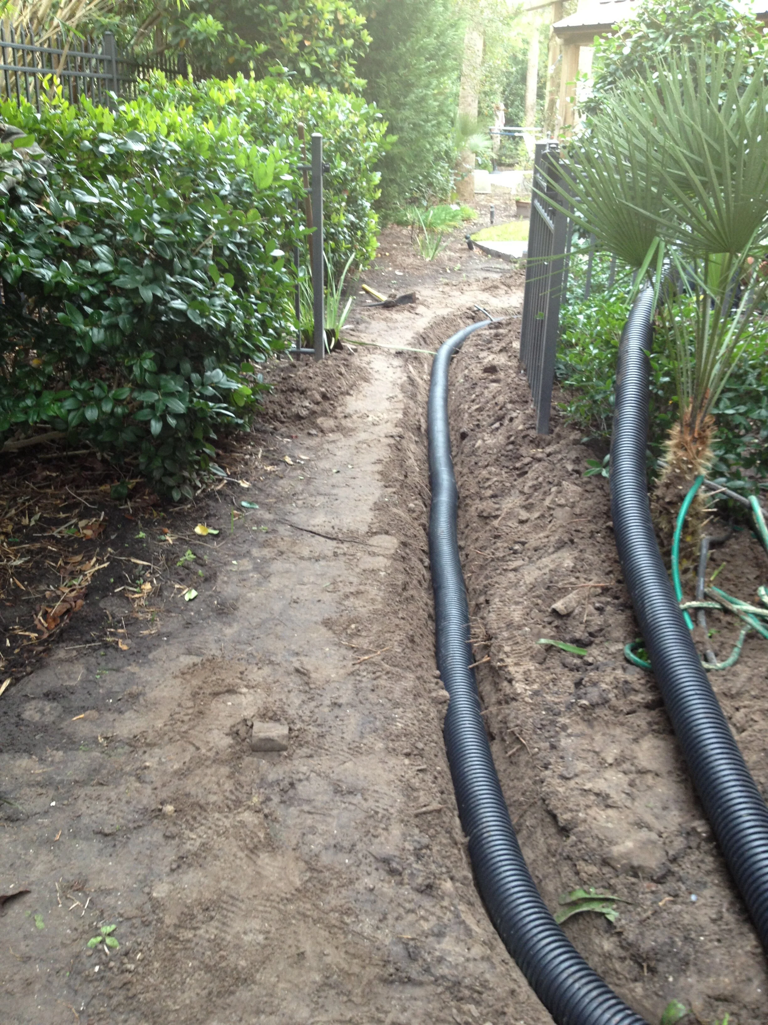 I phone update 6-5-13 764.JPG