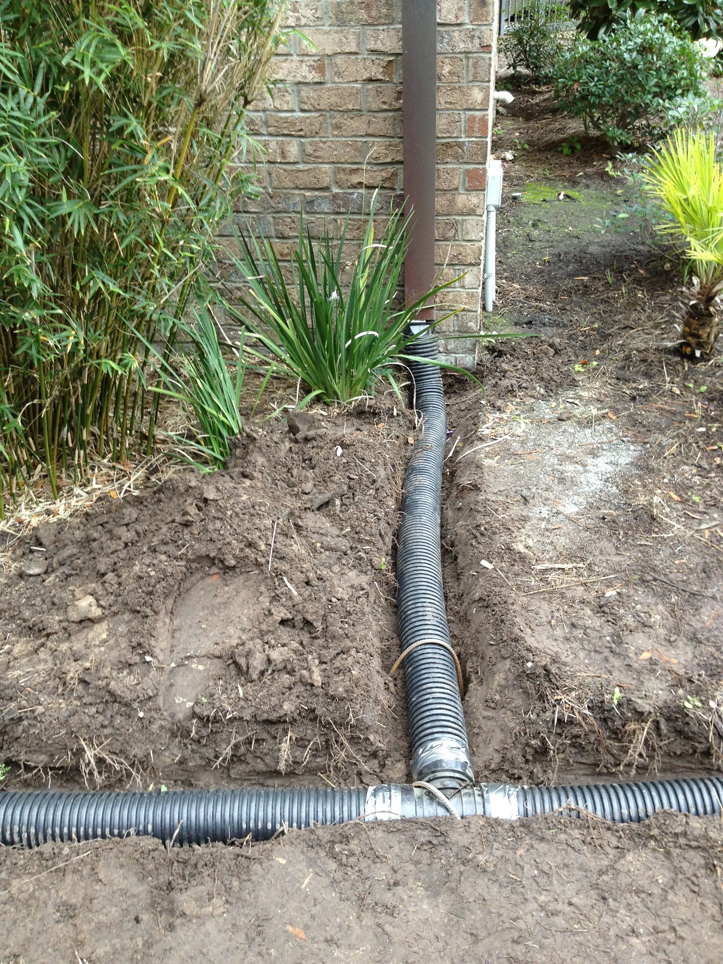 I phone update 6-5-13 771.JPG