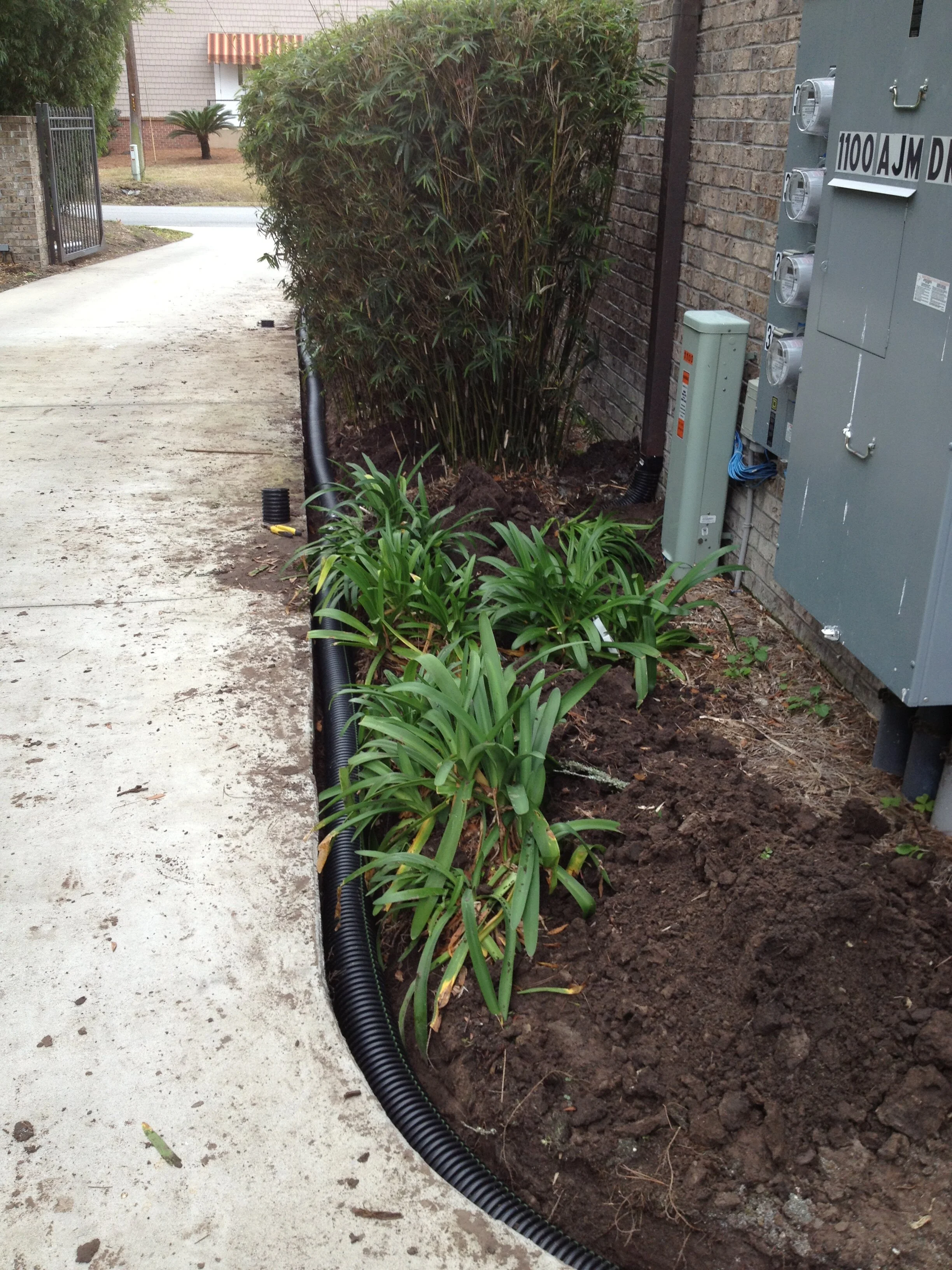 I phone update 6-5-13 774.JPG