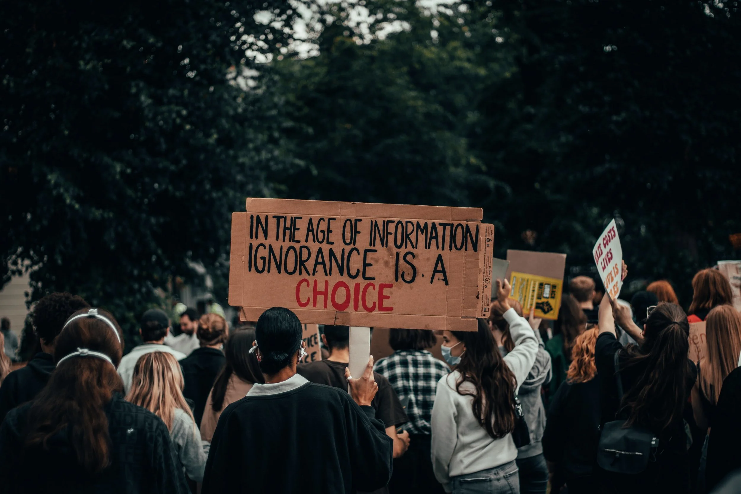 unsplash-image-OEMP9bA6mDo.jpg