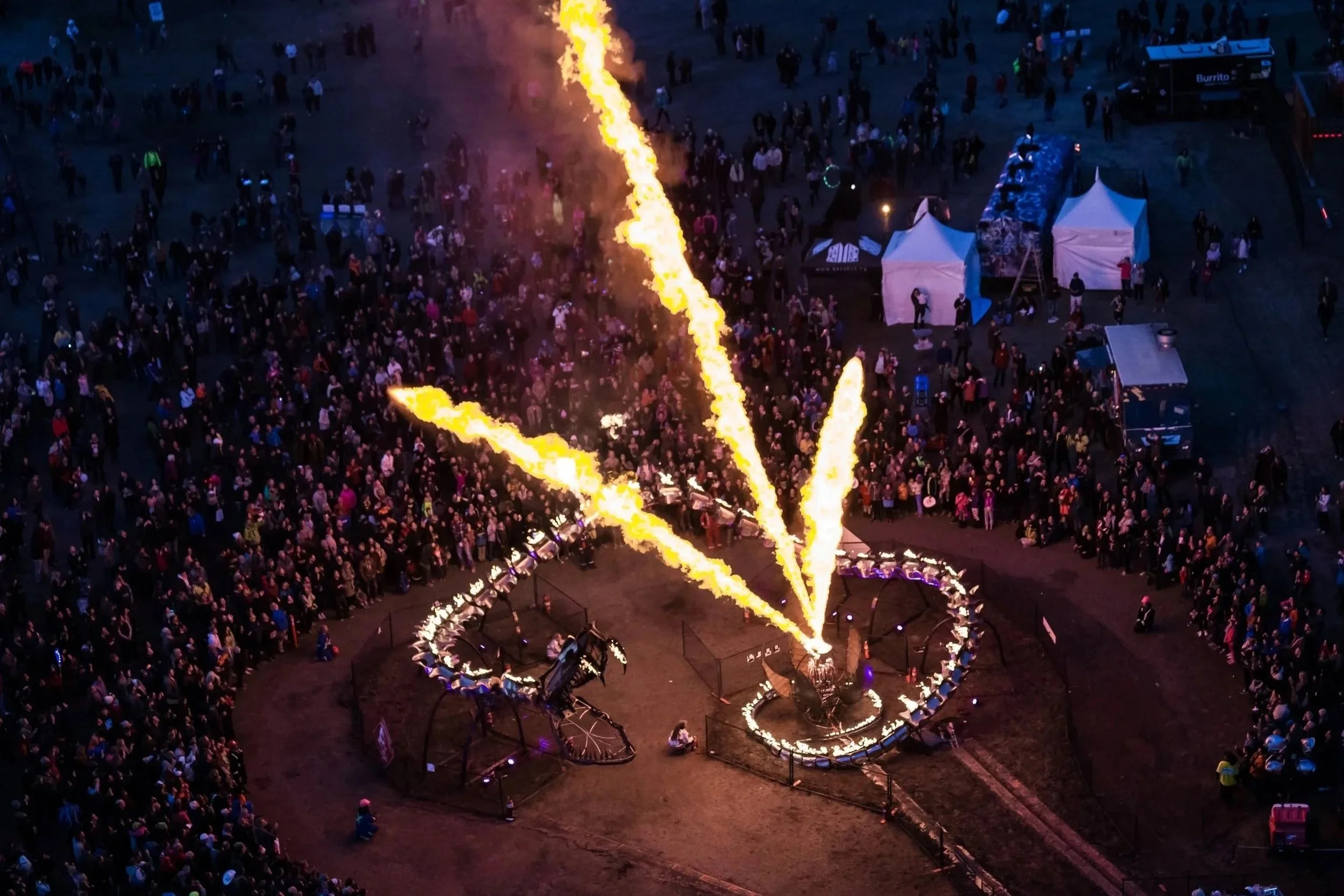 Serpent Mother by the Flaming Lotus Girls on display in Calgary, Canada
