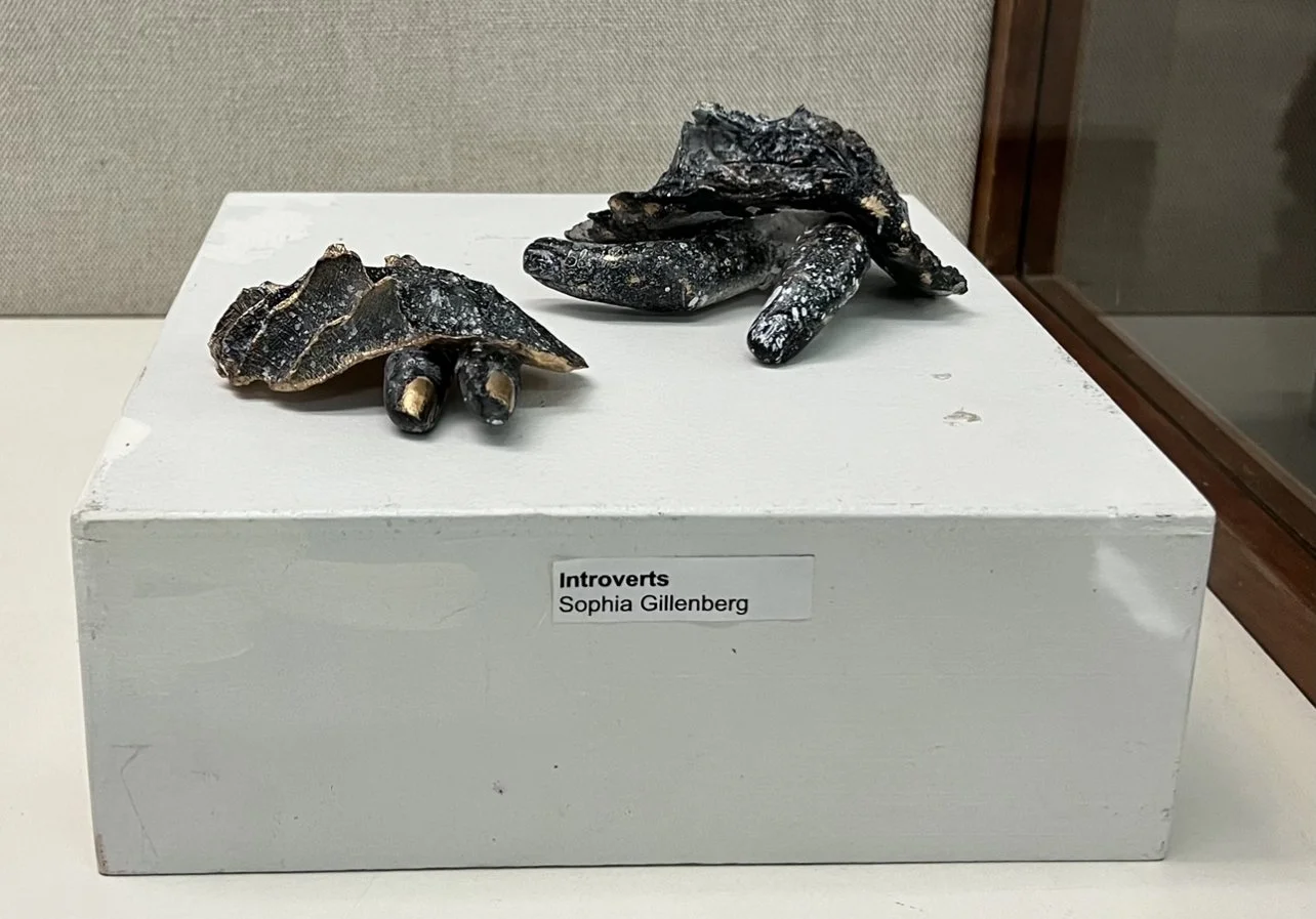 "Introverts" plaster, and metal 2023