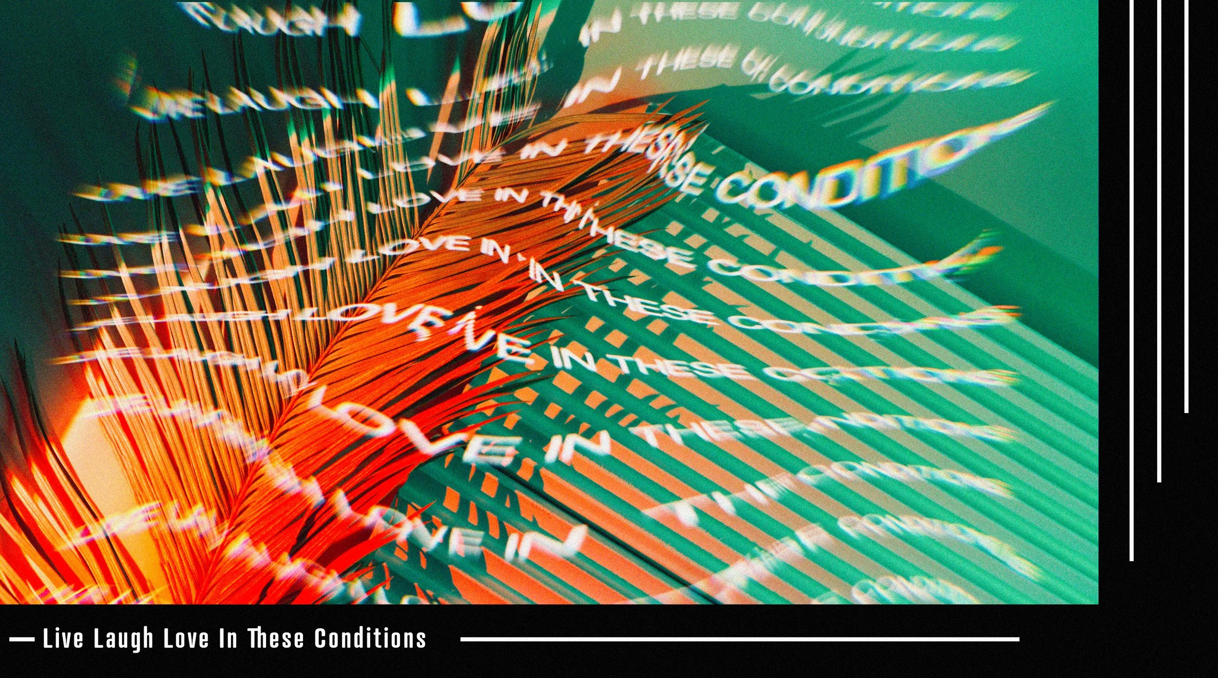 desktopimg_2-1 copy.jpg