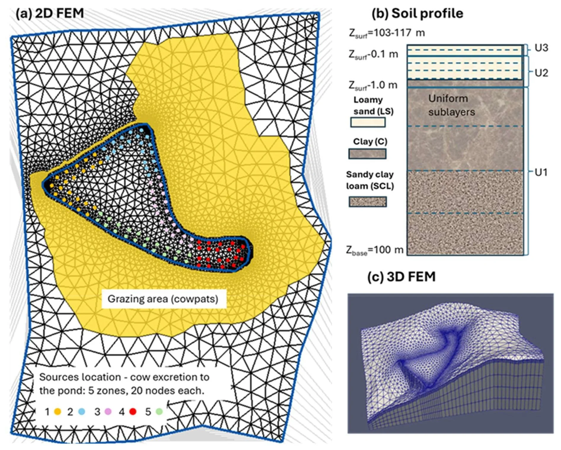 HGS RESEARCH HIGHLIGHT – Modeling E. coli fate and transport in and around a cattle pond
