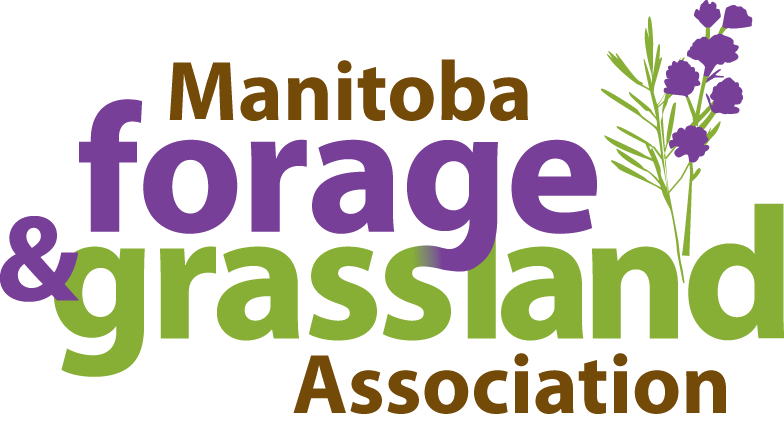 MFGA Press Release - Healthy Grasslands Are Major Key to Future Ground Water Challenges and Climate Resilience