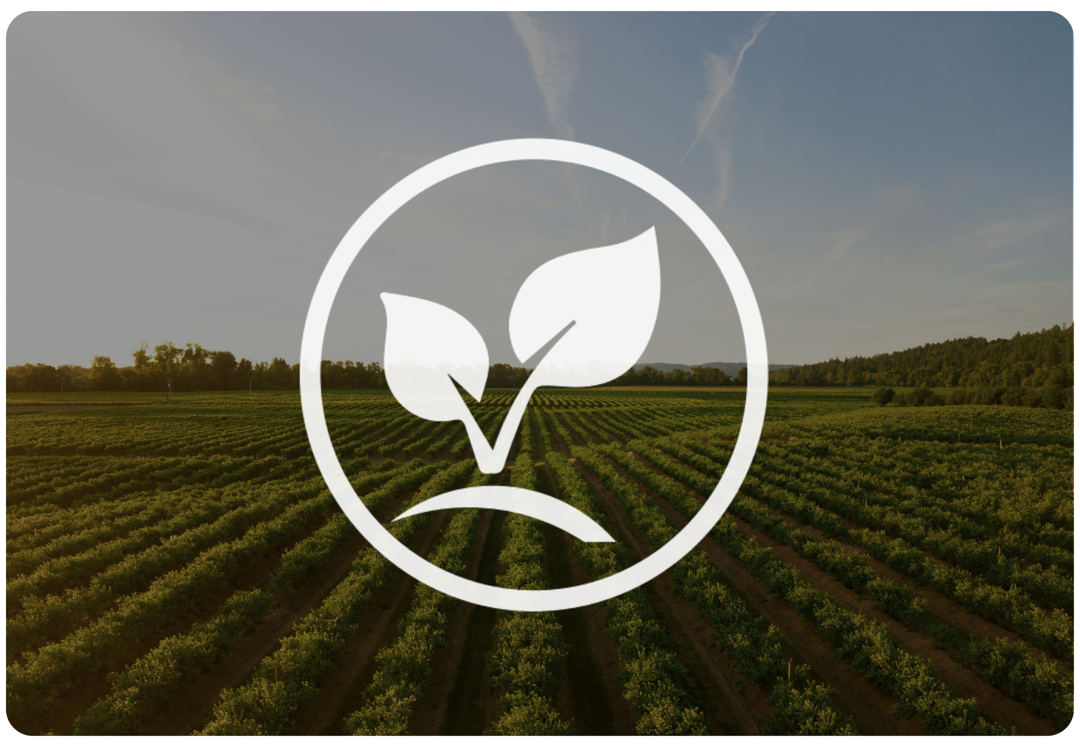 Person in a red and black plaid shirt using a tablet in a wheat field, with a white leaf and checkmark eco-friendly logo overlay