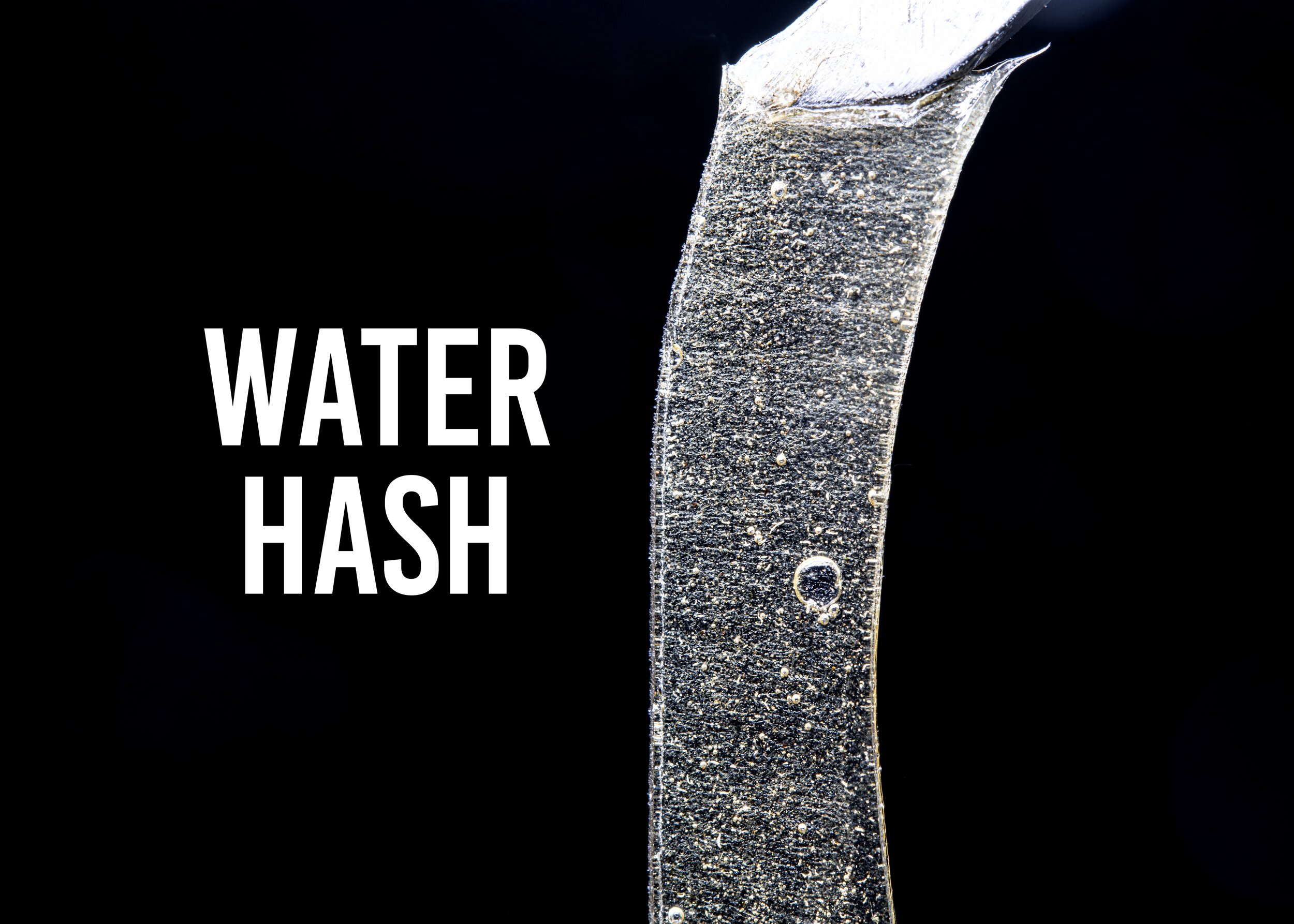 WaterHash.jpg
