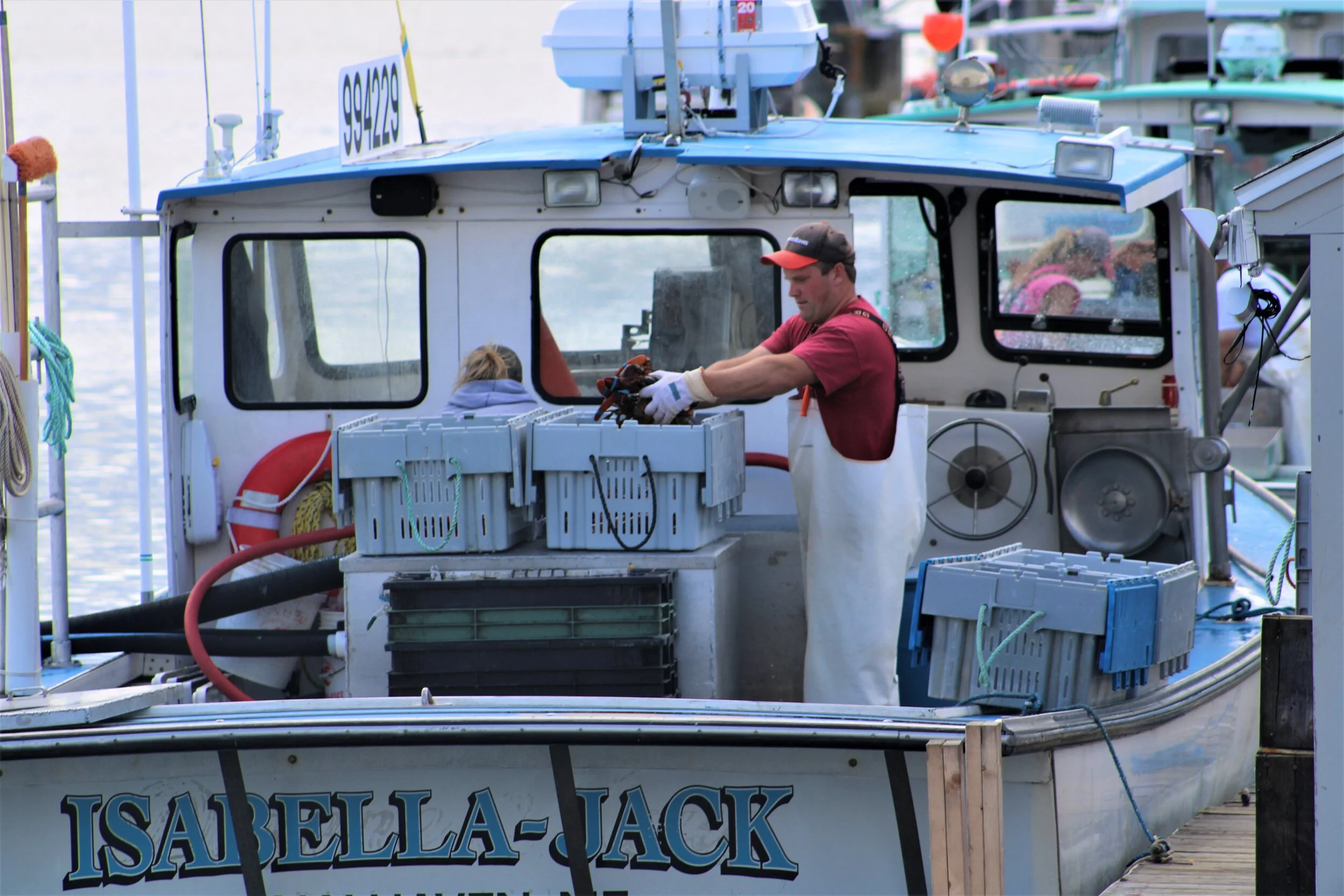 A day's lobster haul selling at the wharf