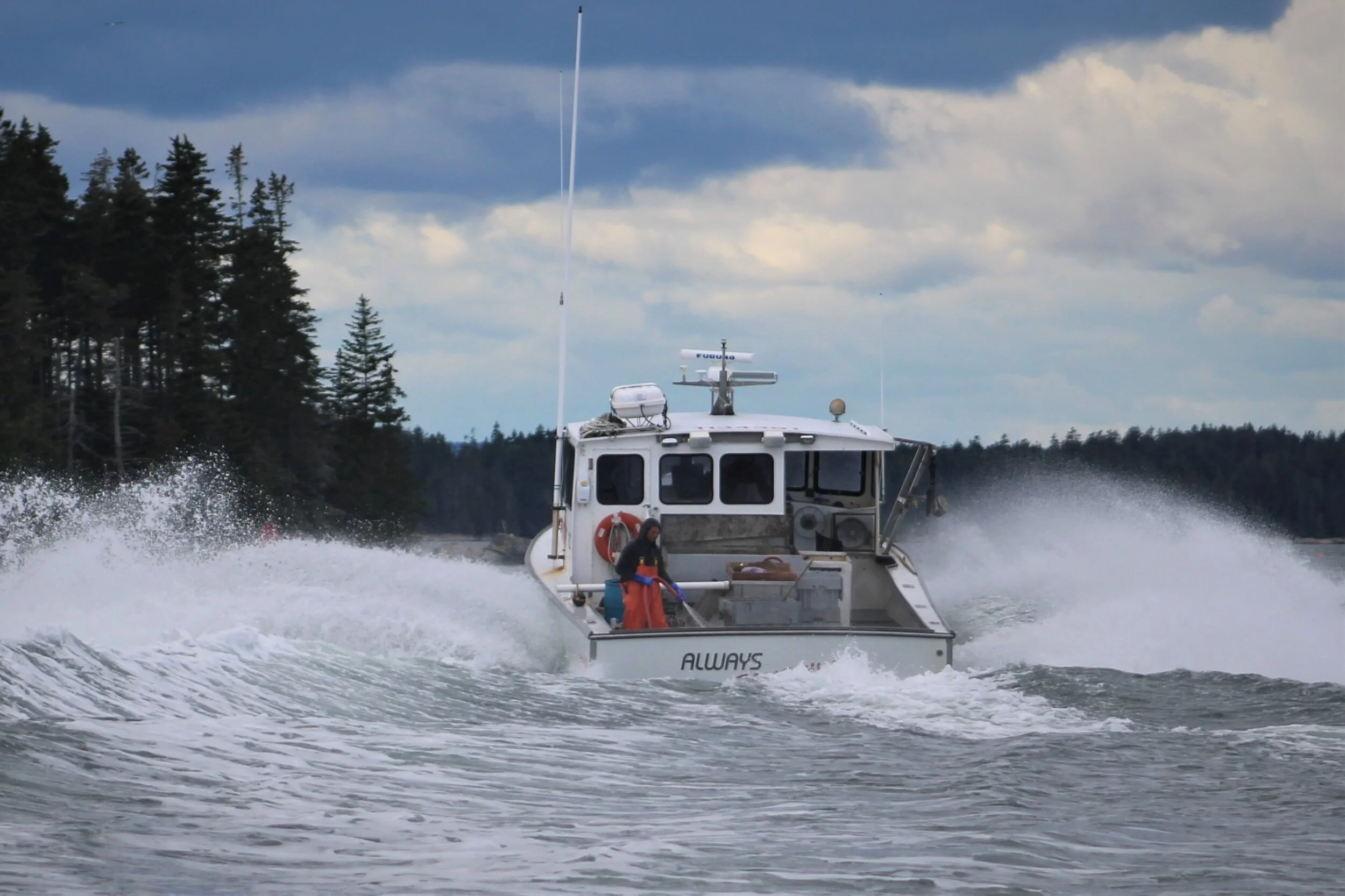 Always lobster boat taking off, North Haven, ME