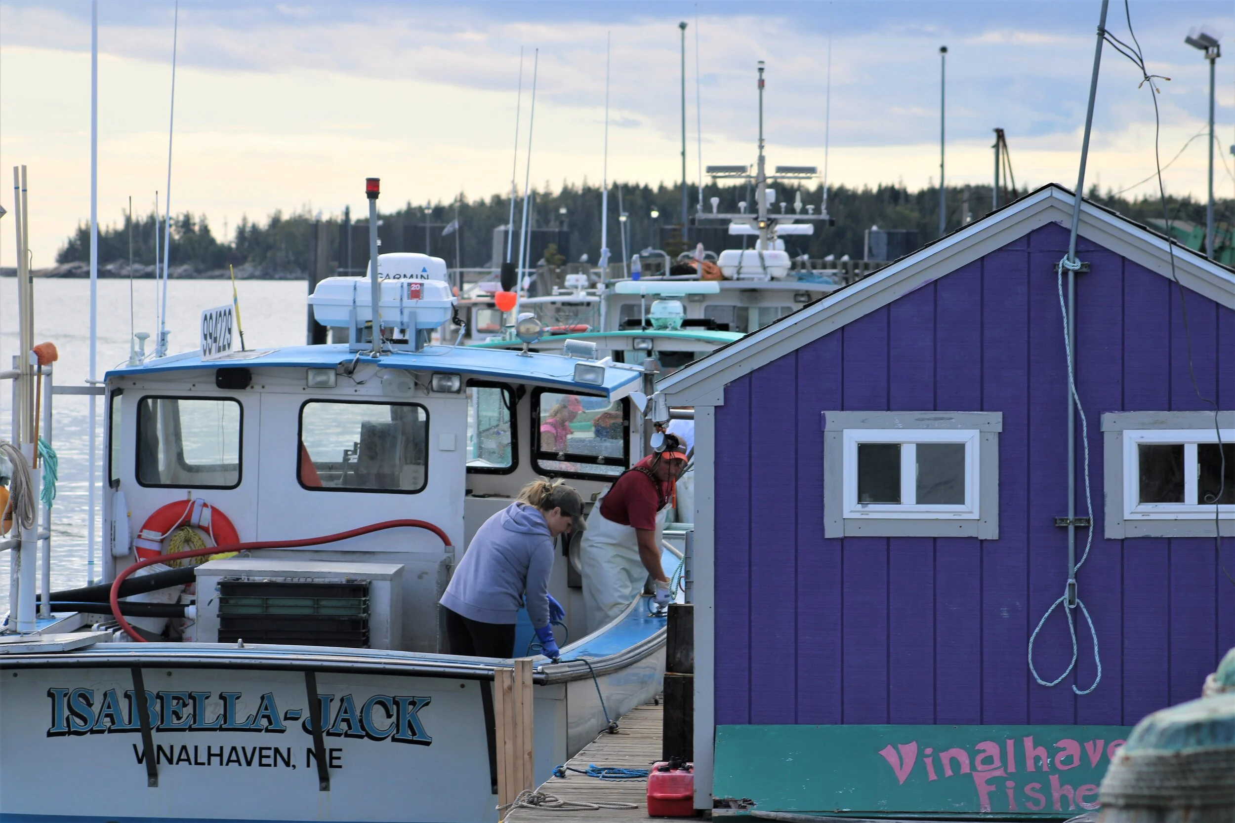 Tying up at the wharf to sell.jpg