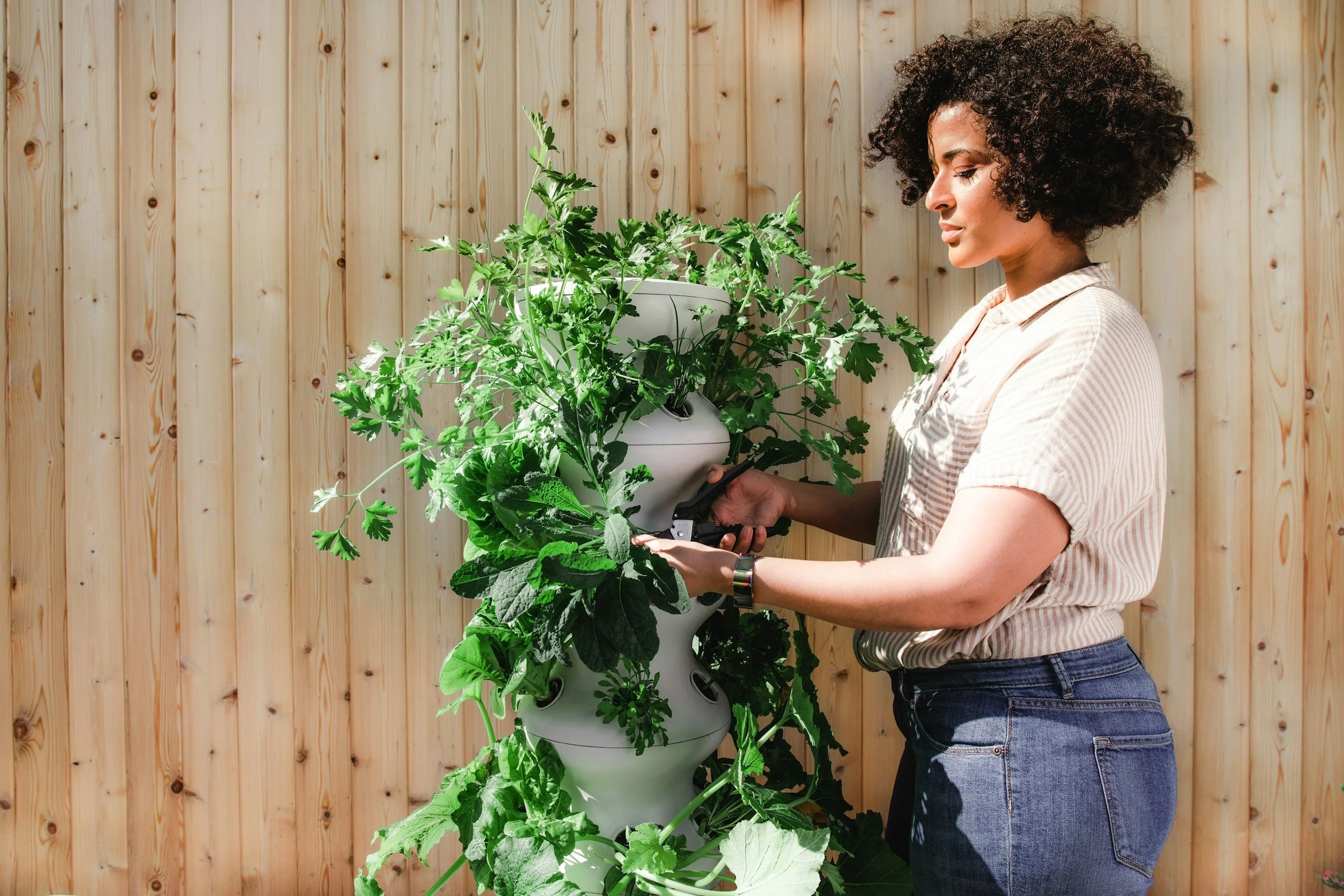 Mental Benefits of Gardening for People in Stressful Jobs