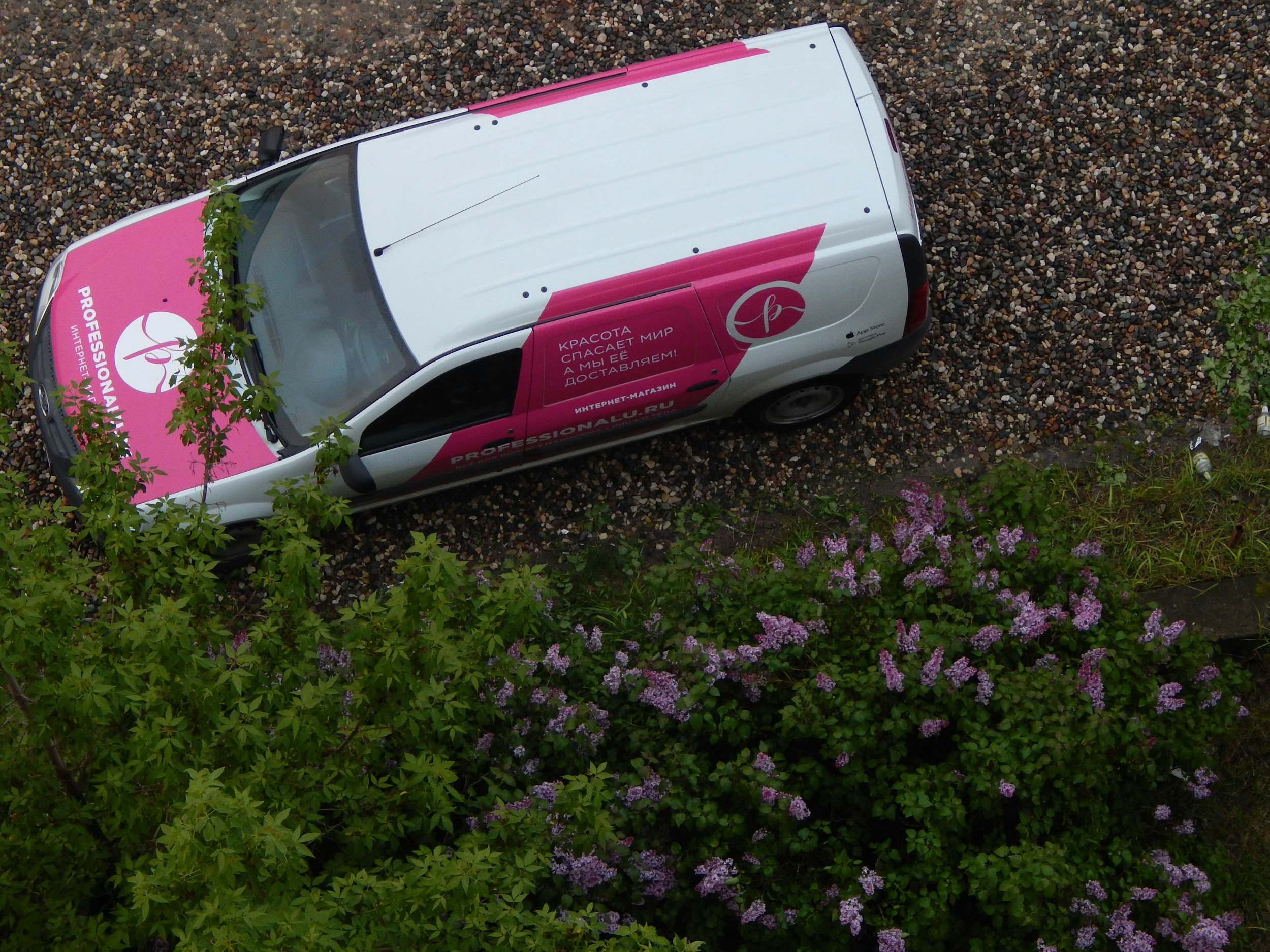 Why Trade Businesses Rely on Van Wraps to Build Local Recognition