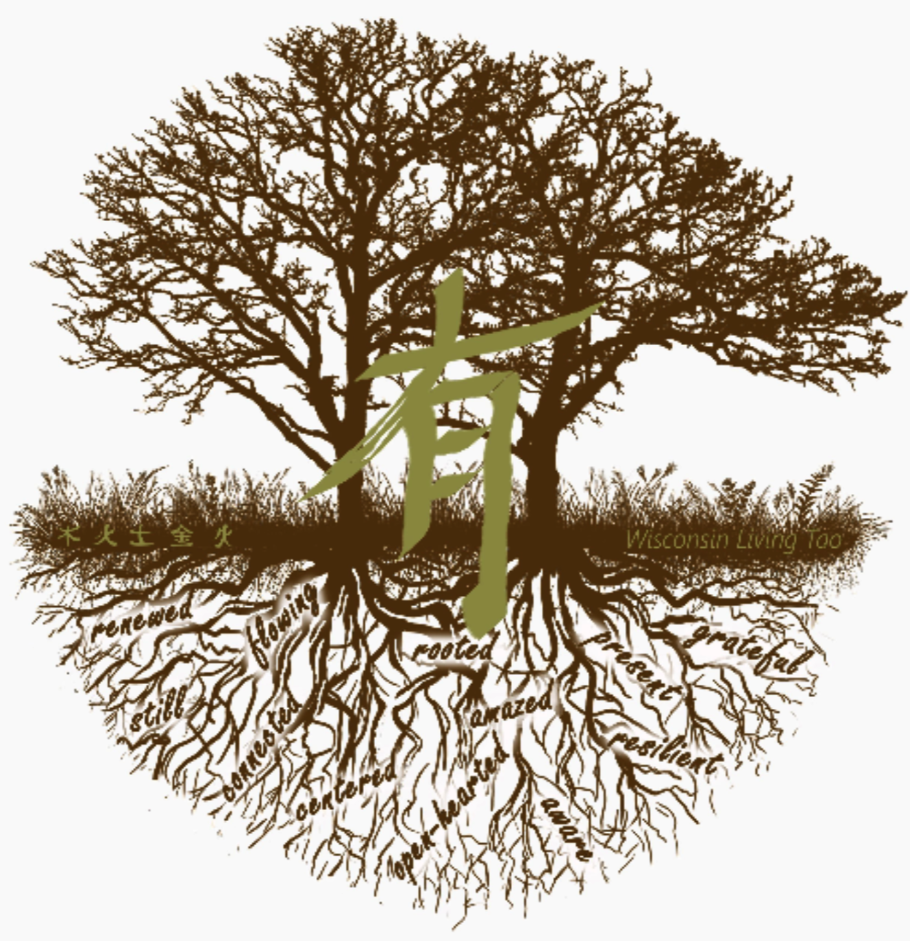 Tai Ji / Qigong Sessions