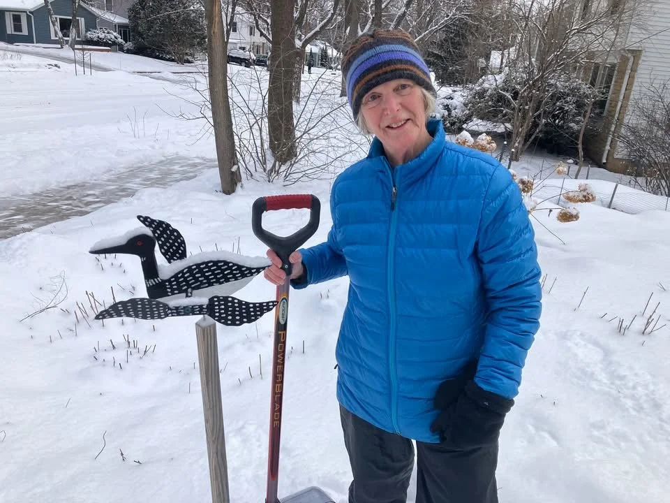 Shoveling - loon is still here!