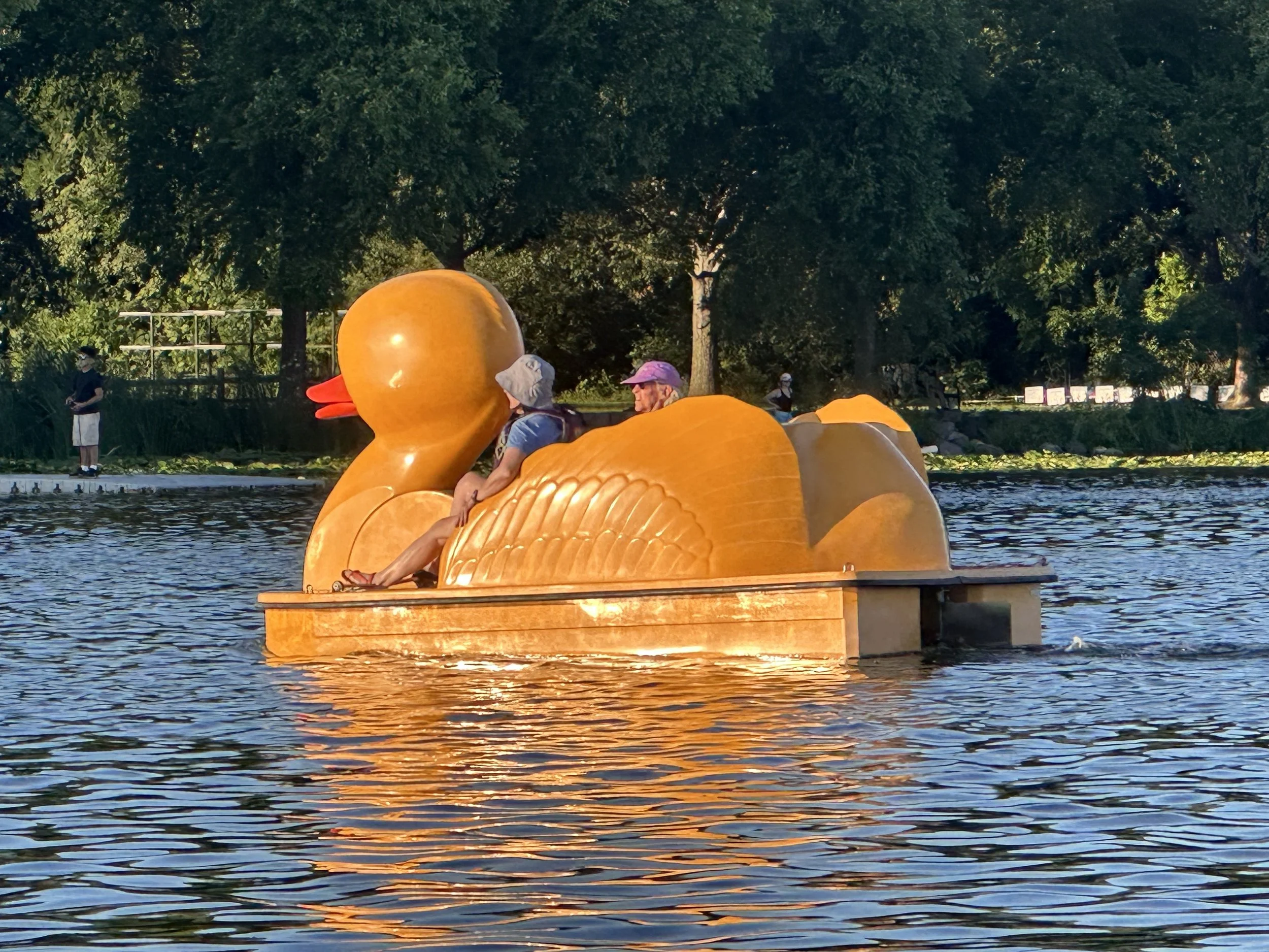 IMG_8622.jpeg