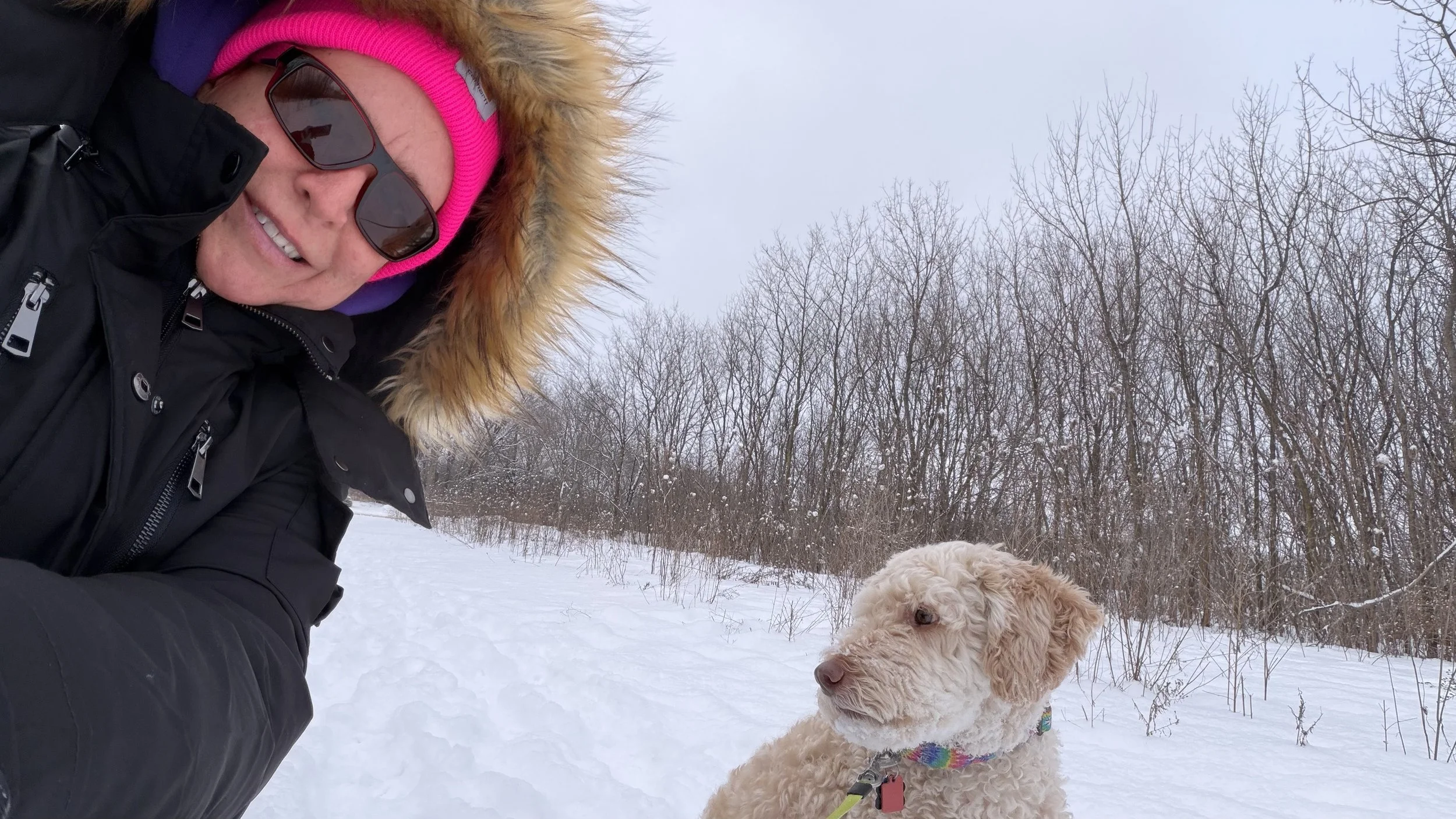 Rhiannon dog 🐕 sitting Winston while his owners are in Cozumel
