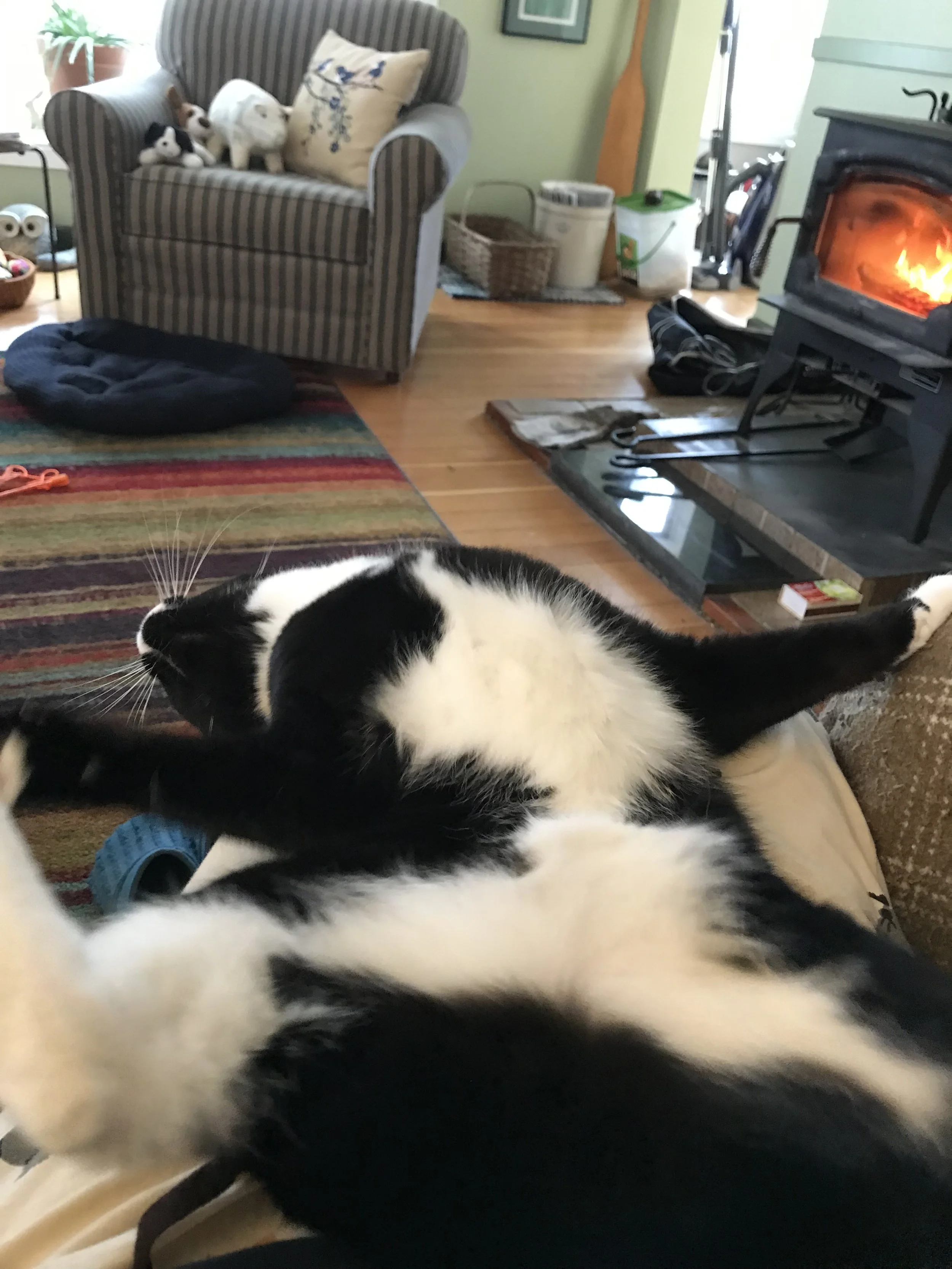 George is staying warm too!