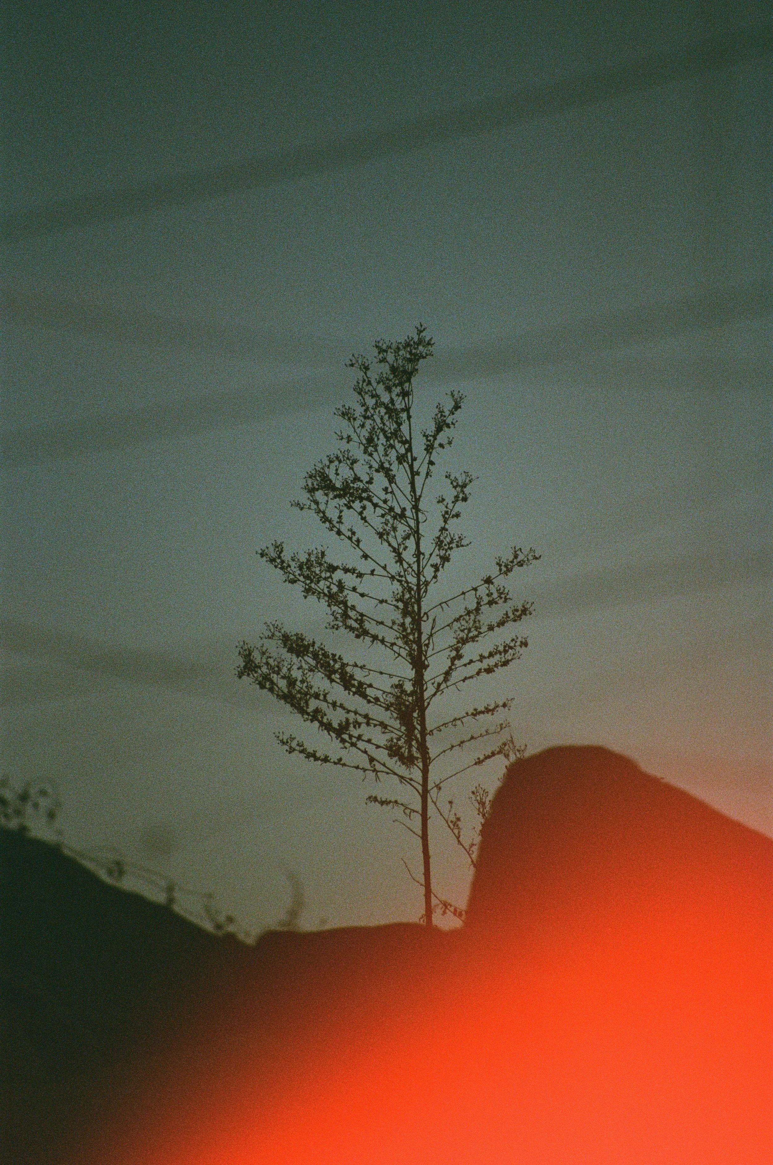 SOLAR 2-24.jpg