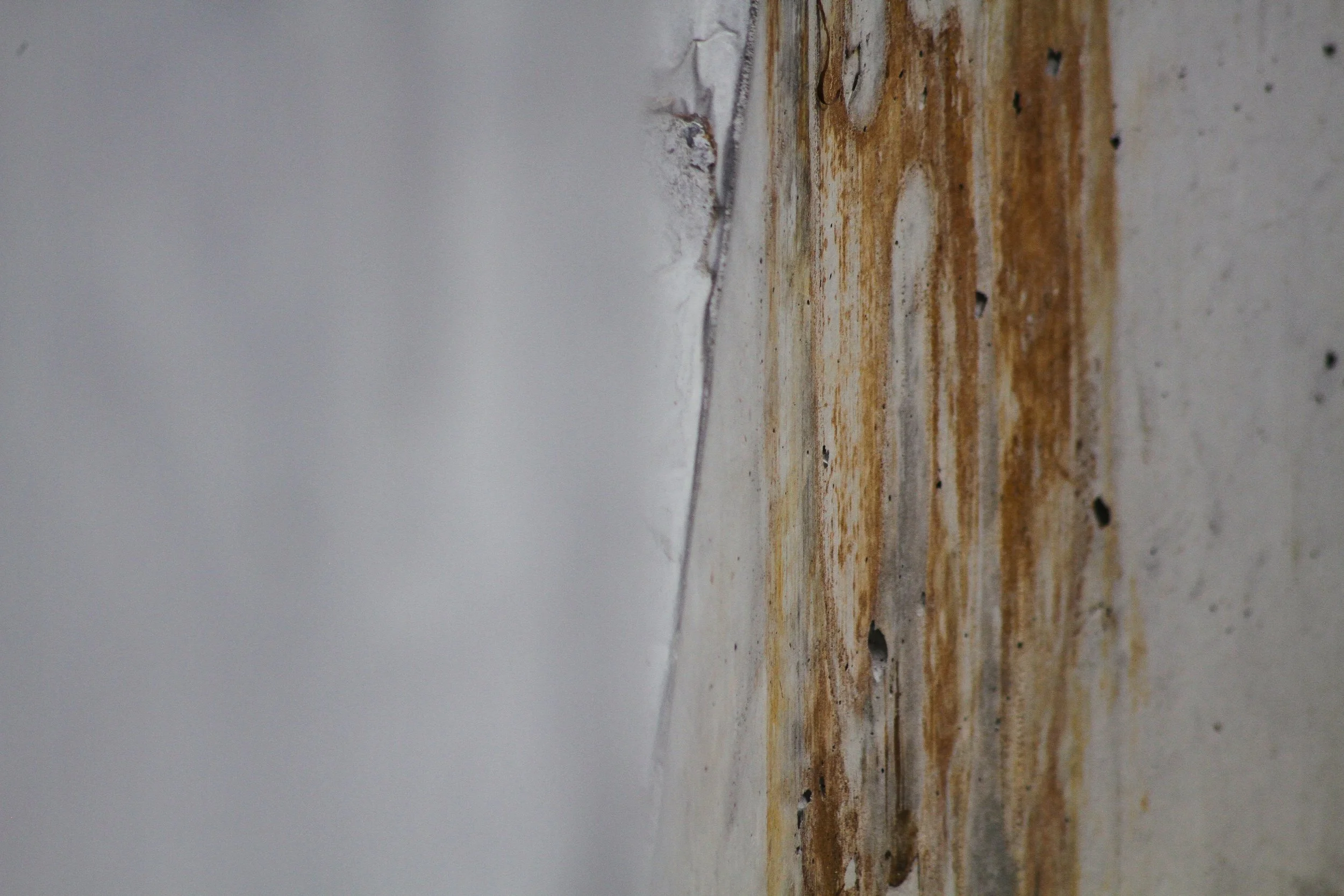 sundaywalk-22.jpg