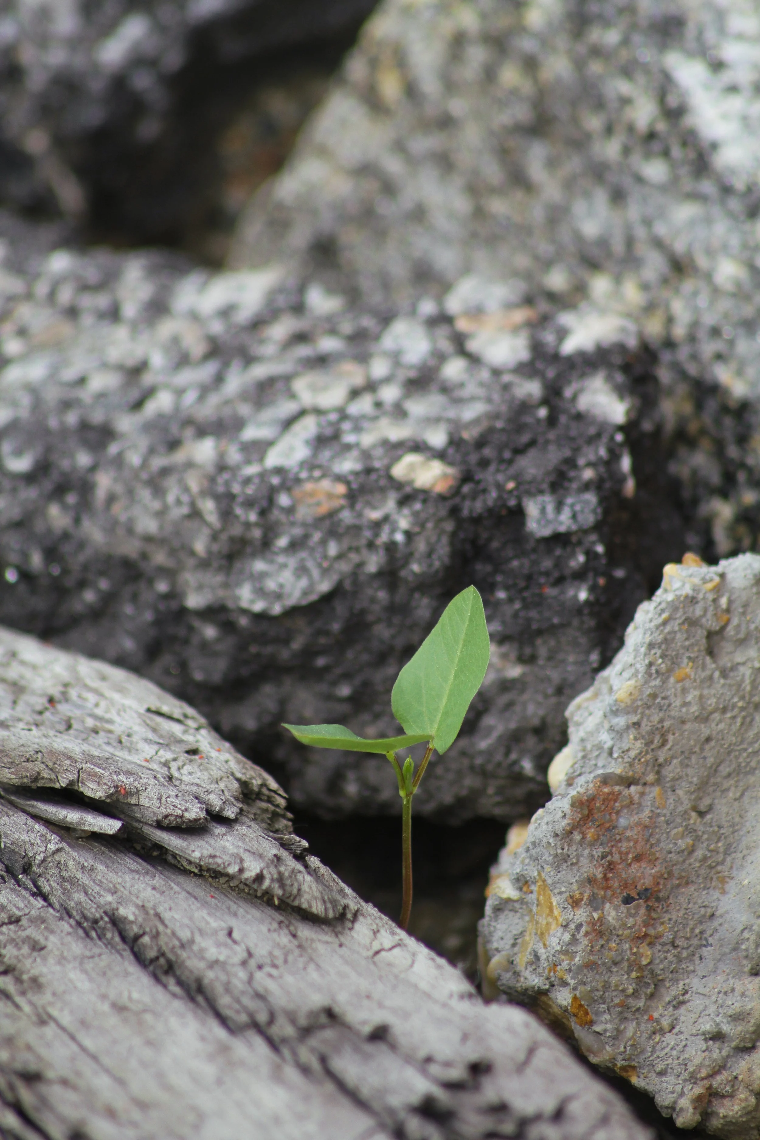 sundaywalk-09.jpg