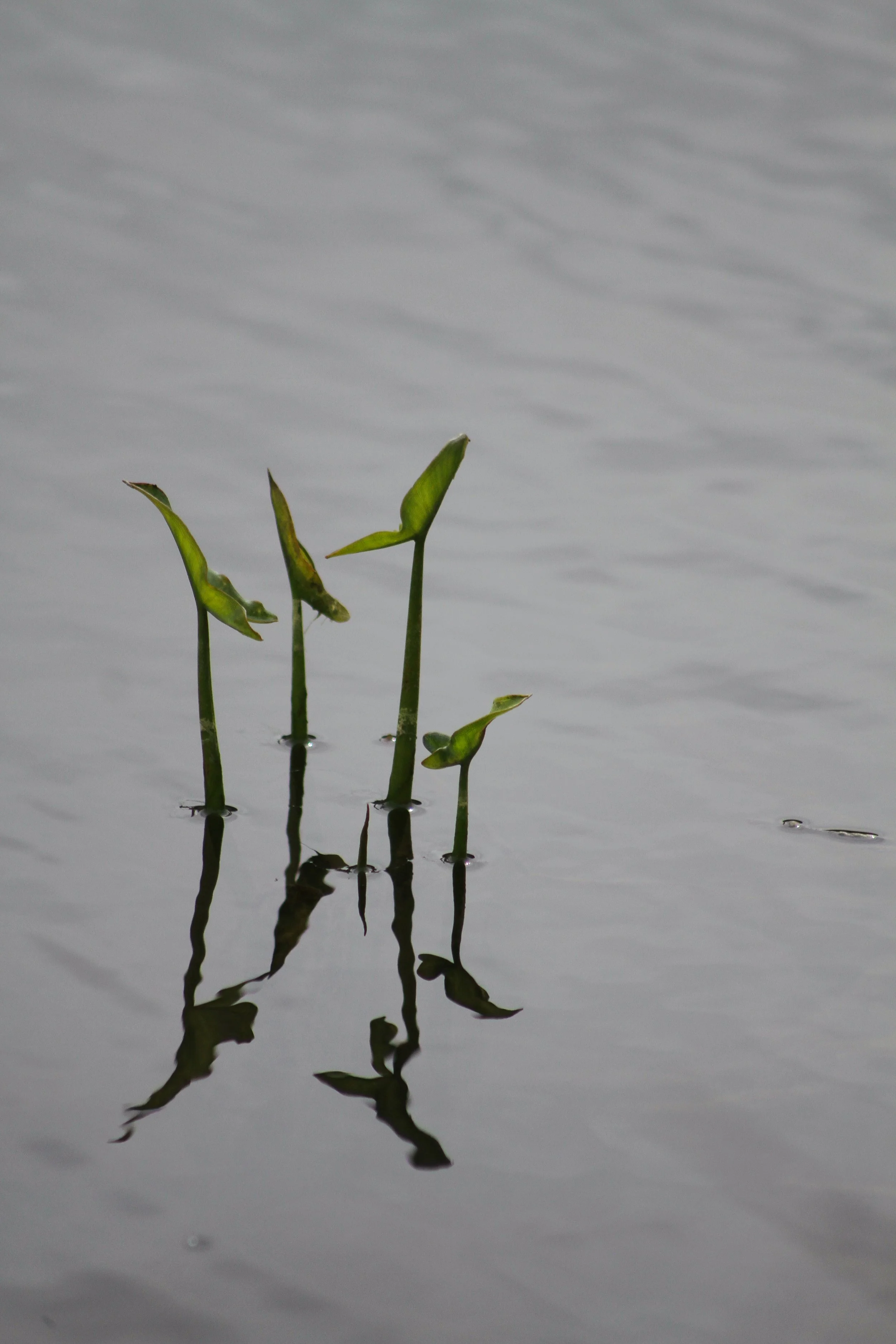 sundaywalk-08.jpg