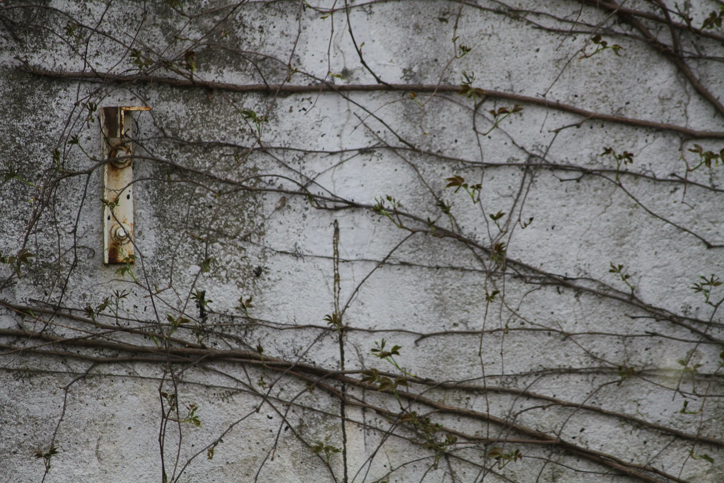 sundaywalk-10.jpg