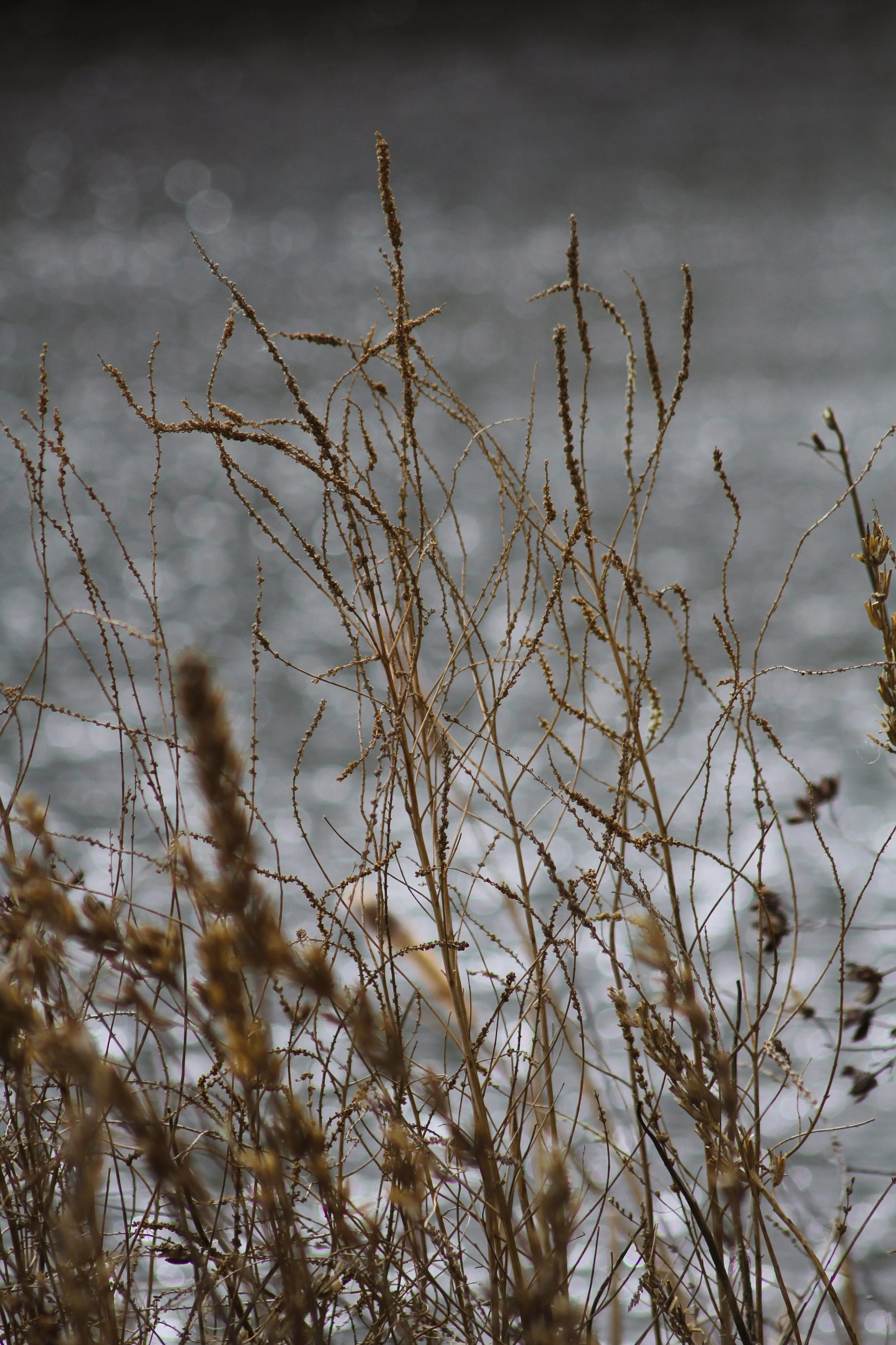 sundaywalk-03.jpg