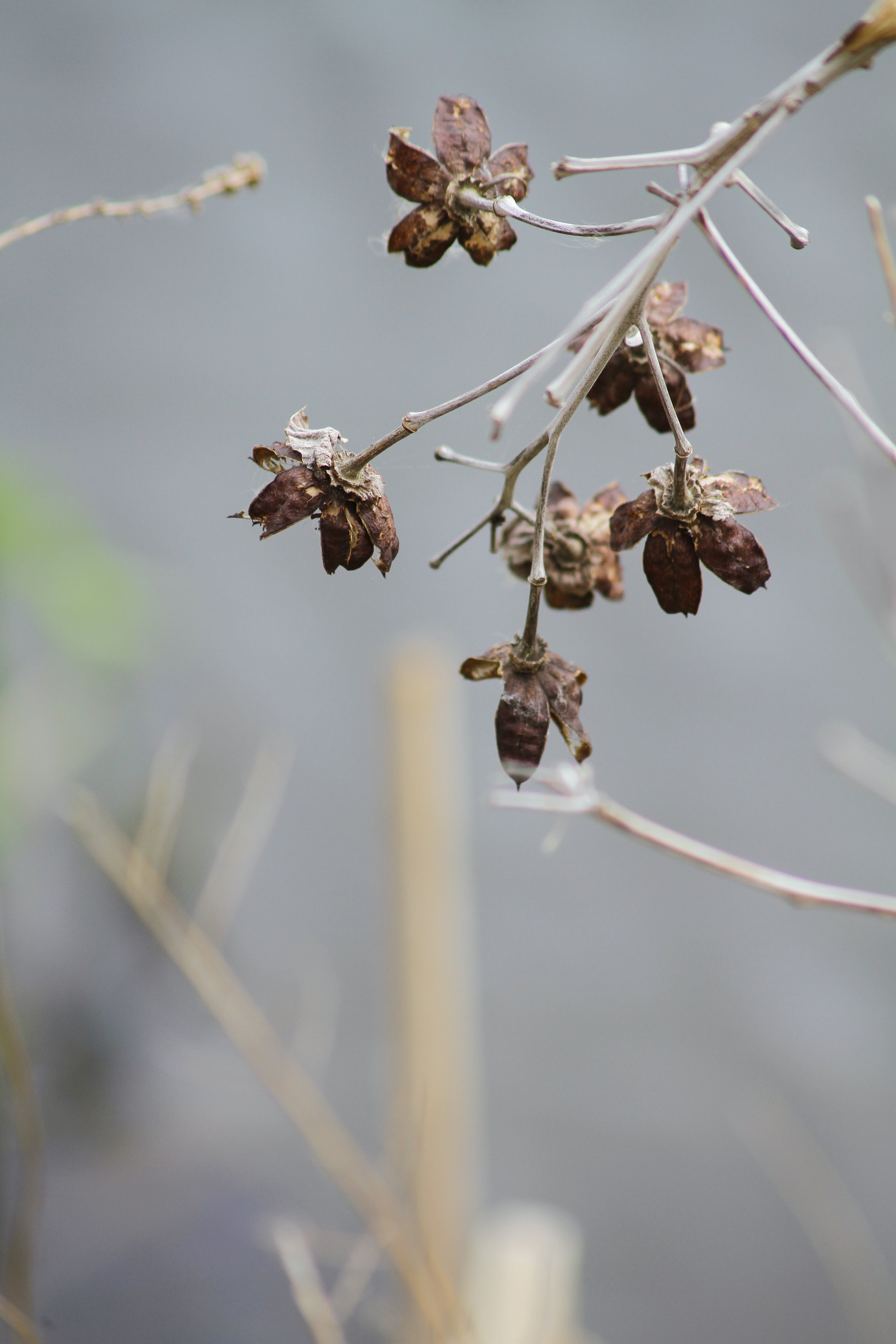 sundaywalk-04.jpg