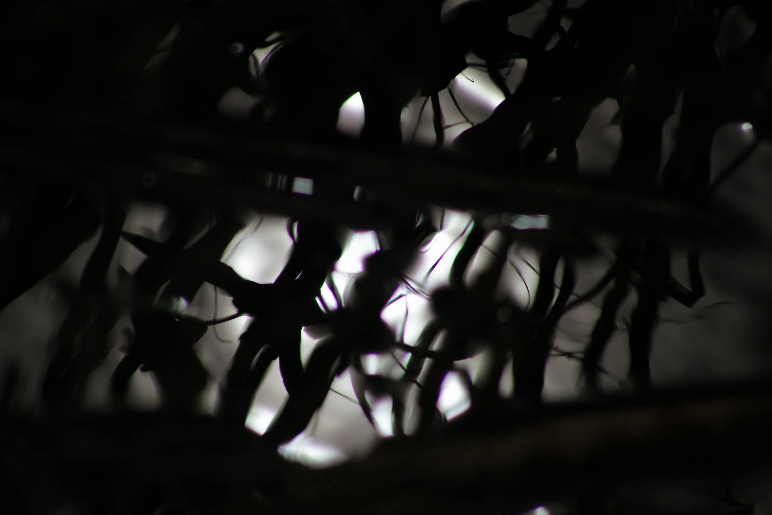sundaywalk-06.jpg