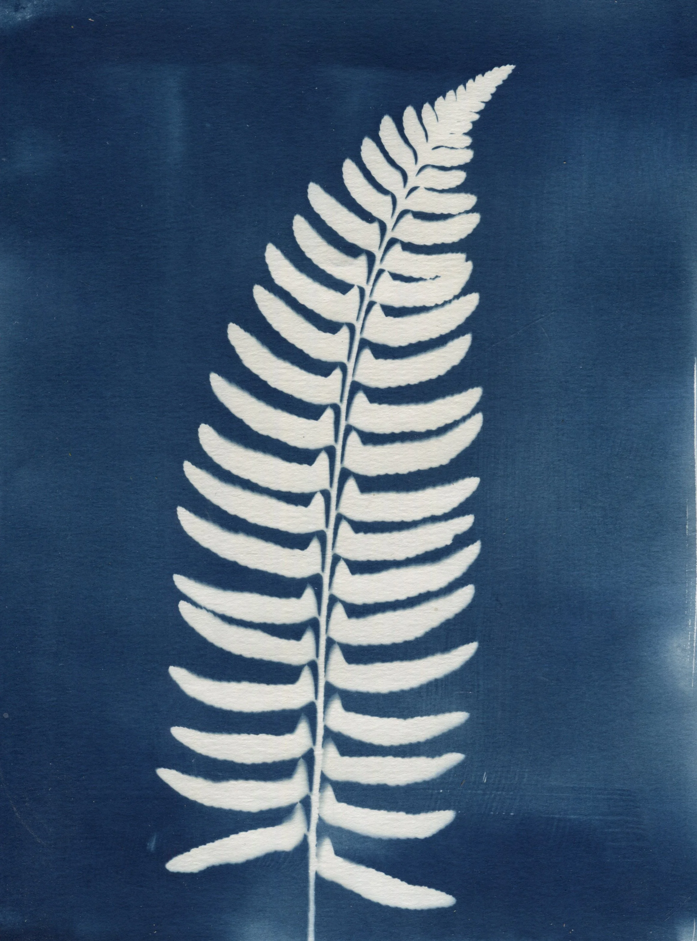Scanned Art 2025-07.jpg