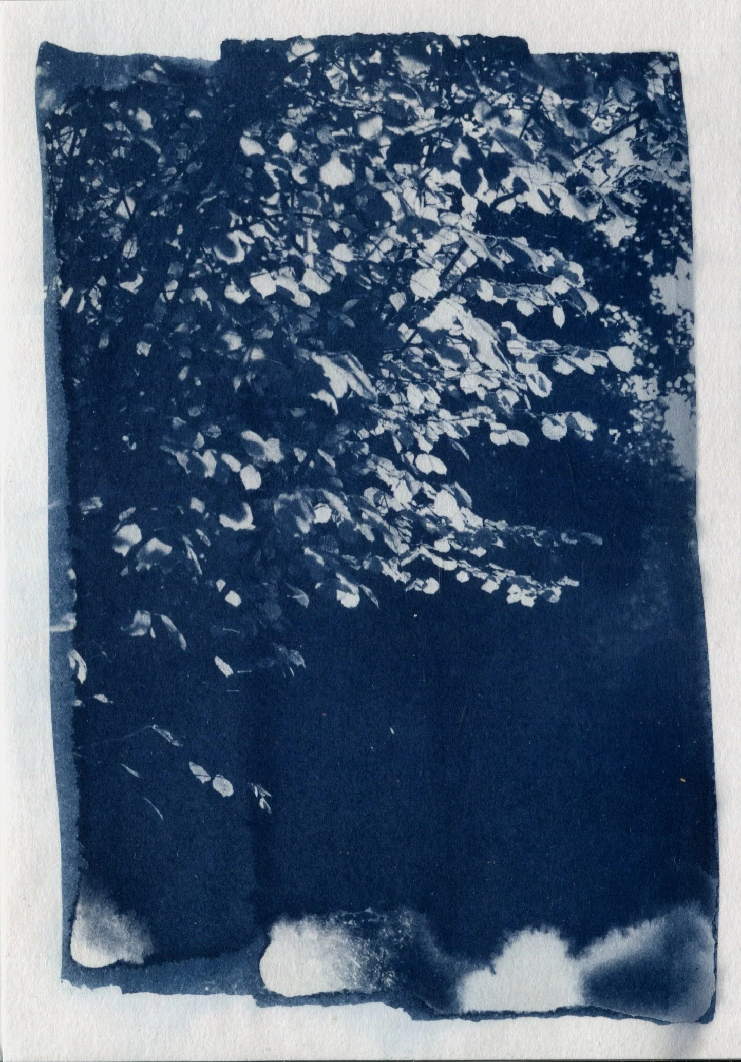Scanned Art 2025-60.jpg