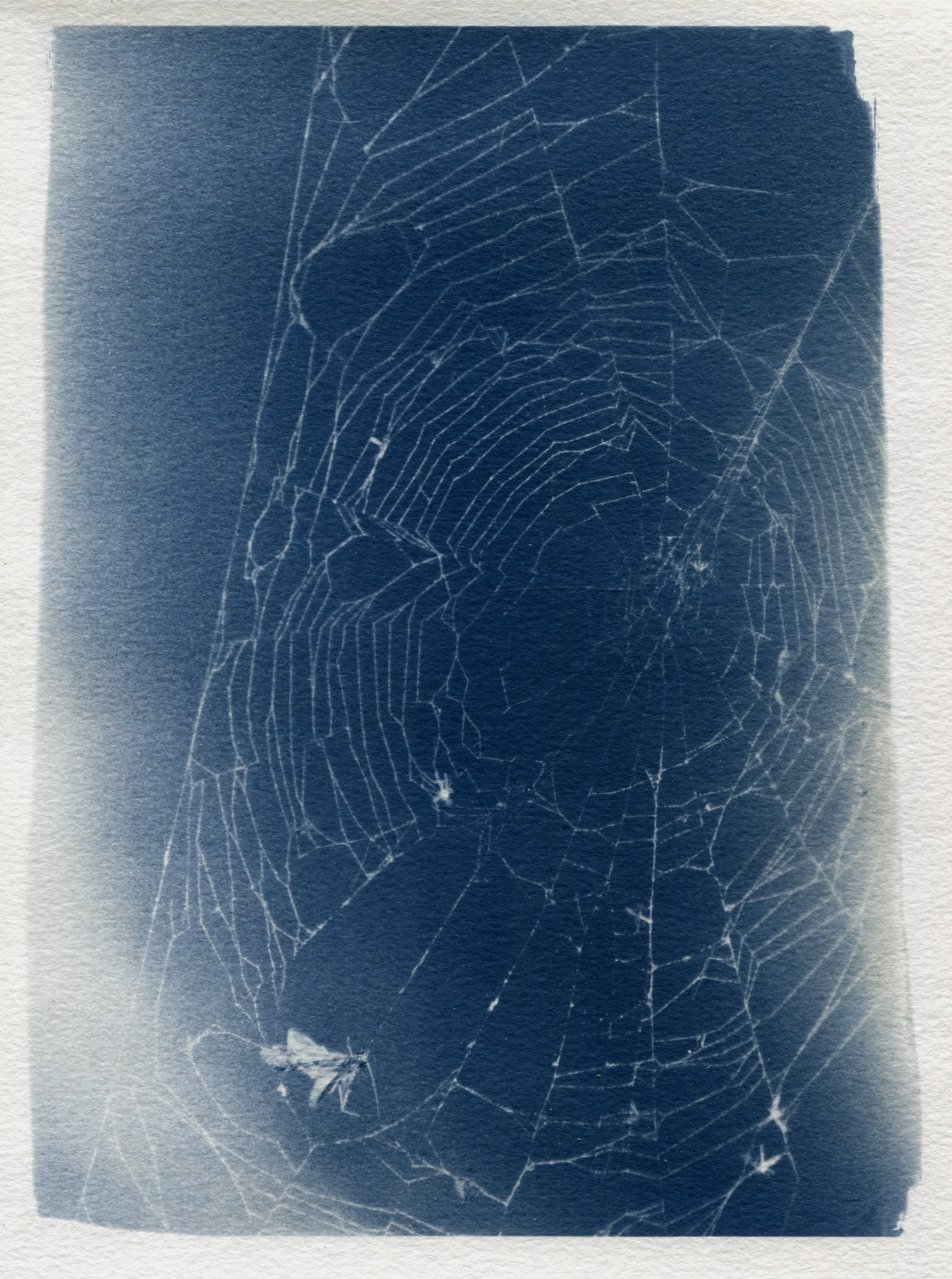 Scanned Art 2025-17.jpg