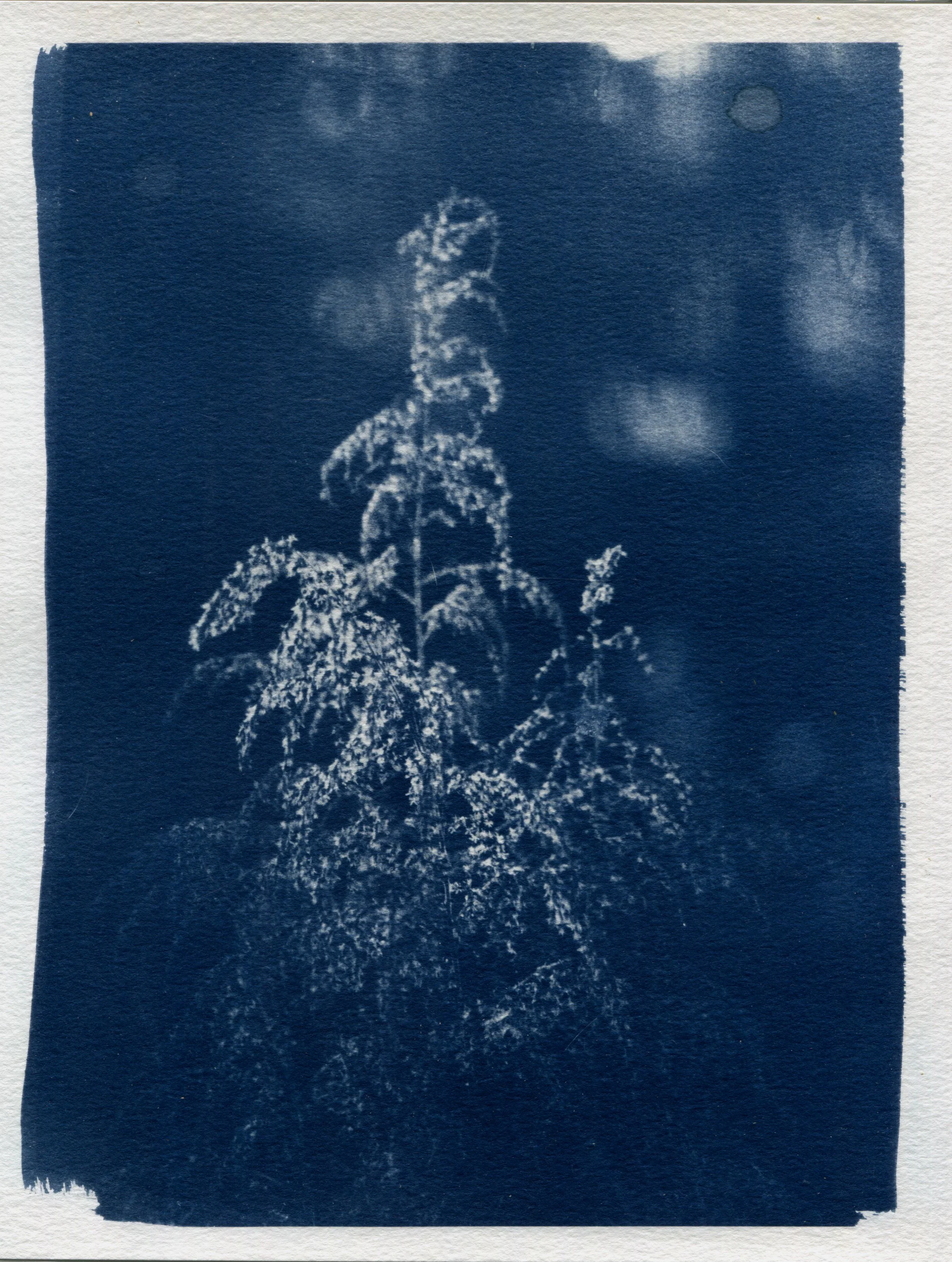 Scanned Art 2025-14.jpg