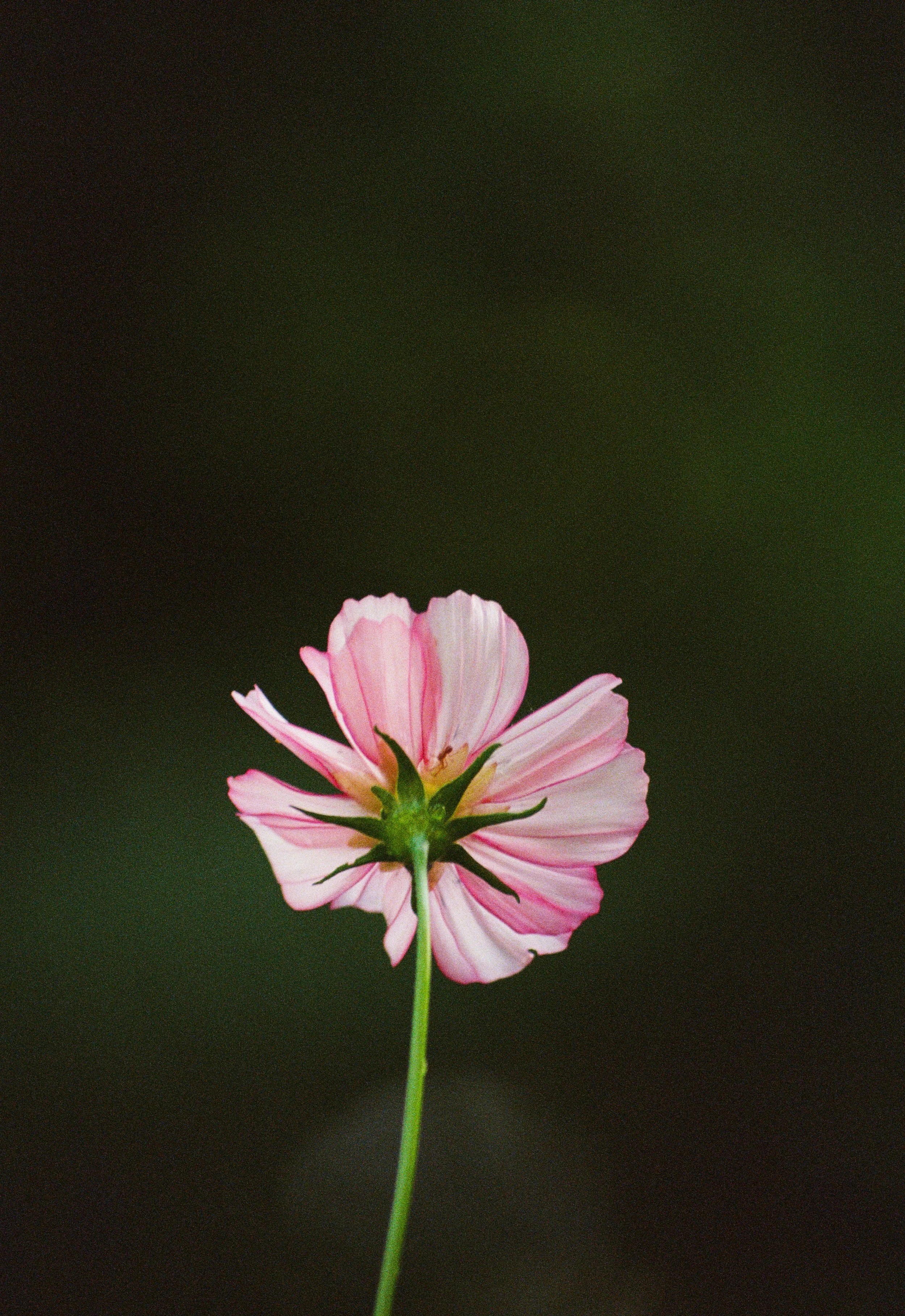 2023 35mm-068.jpg