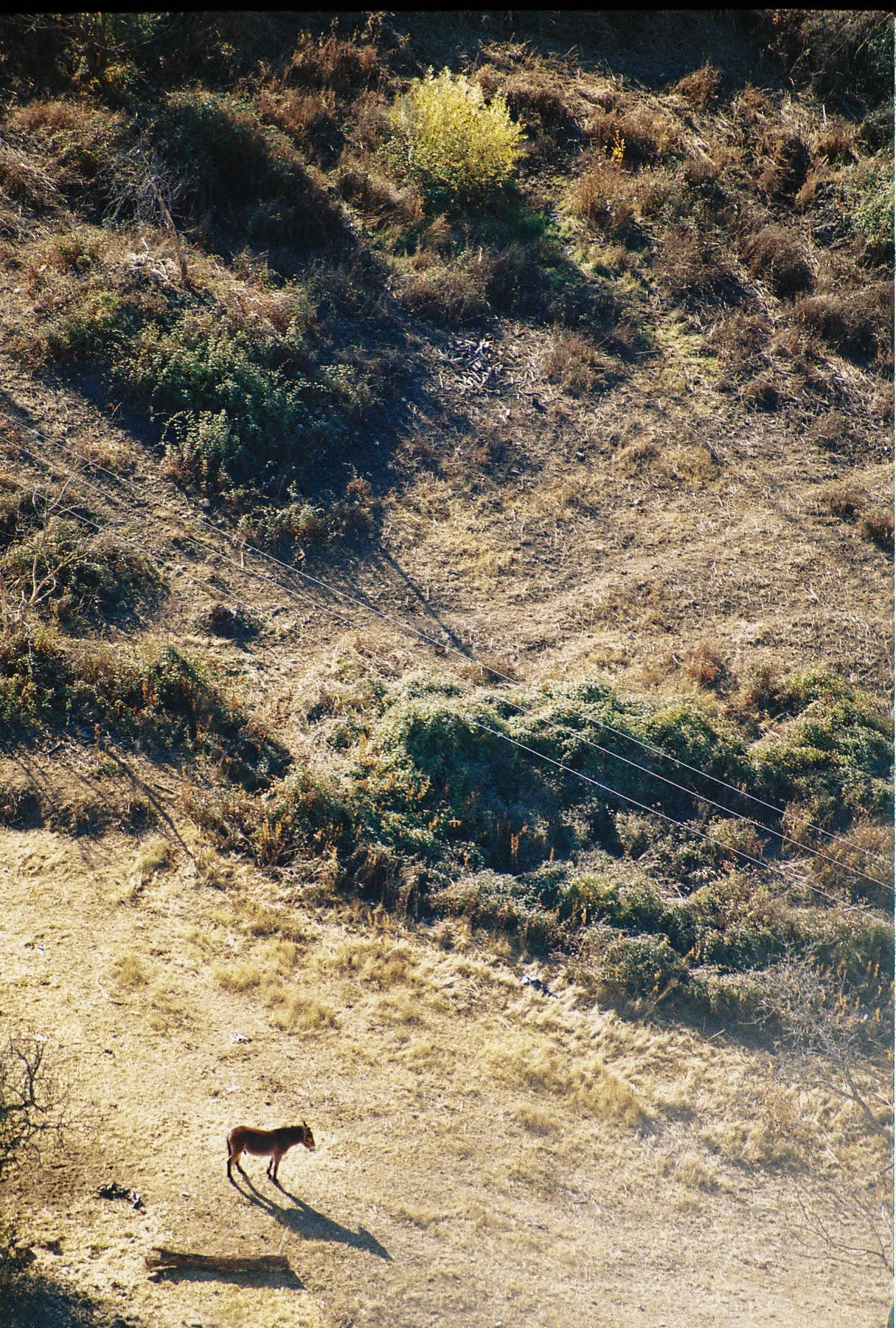 R1-06668-0020.jpg