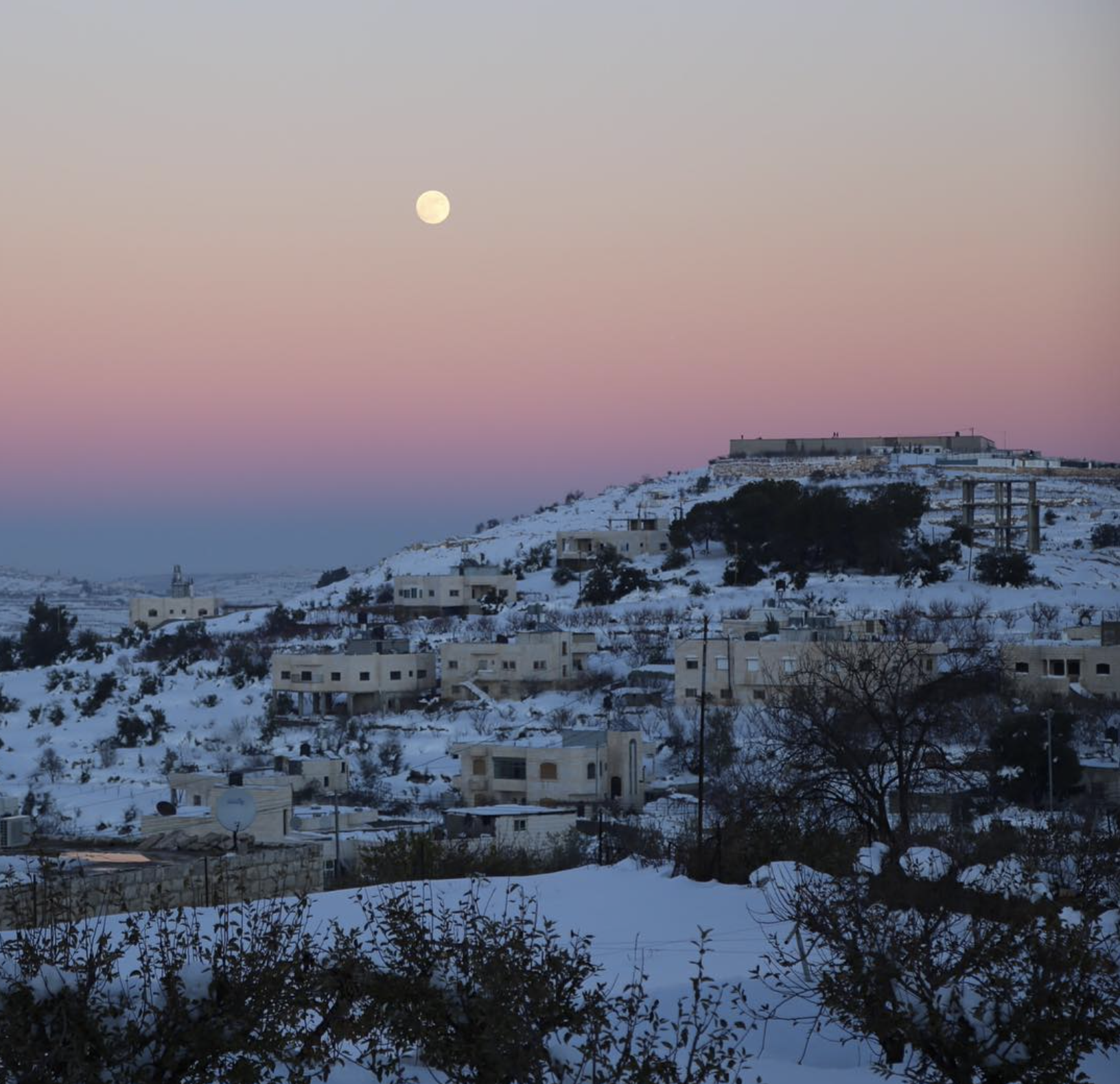 Screen Shot 2025-01-24 at 4.39.09 PM.png