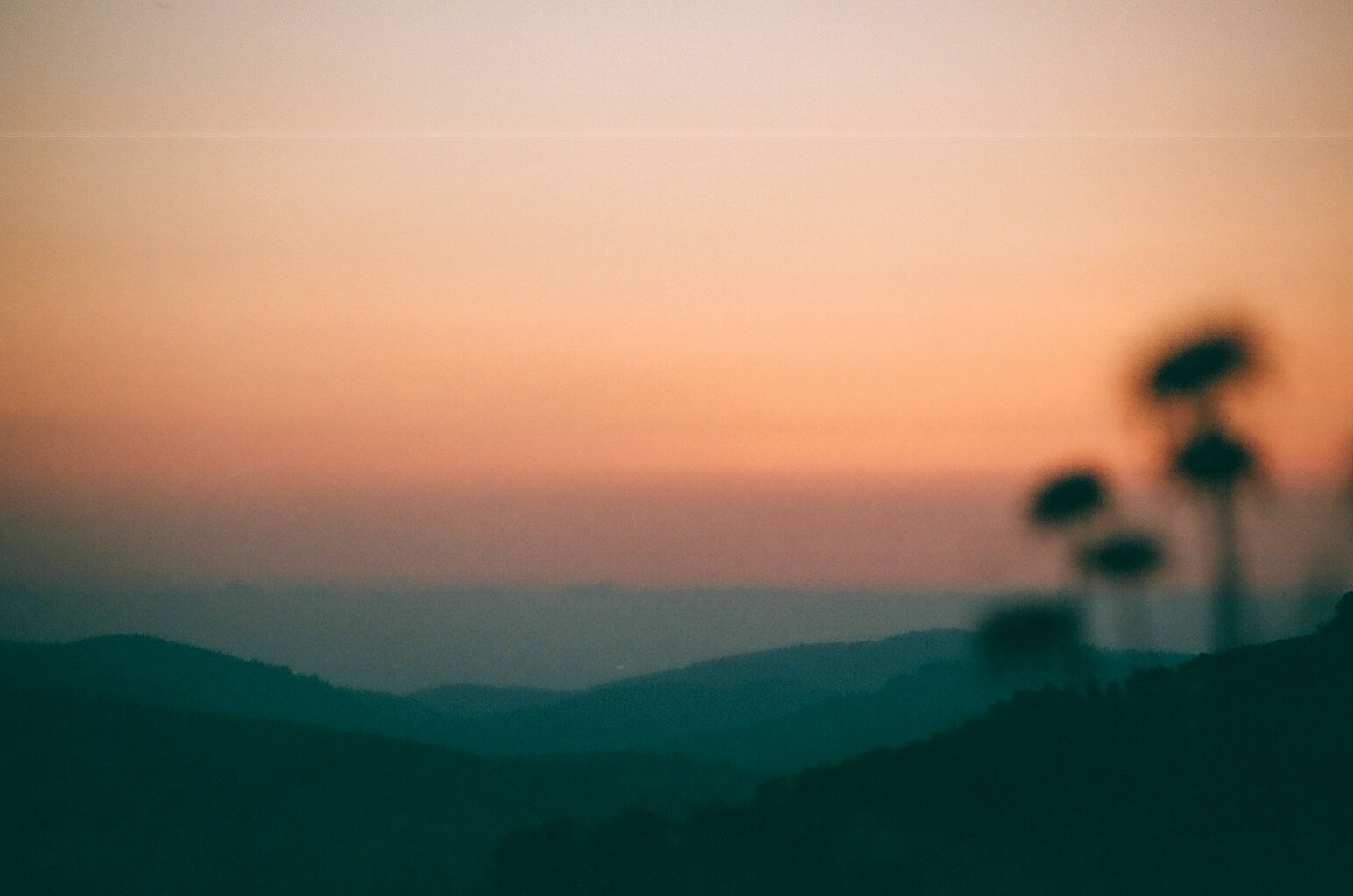 25640035.jpg