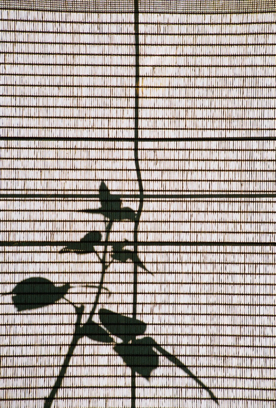 R1-06665-0011.jpg
