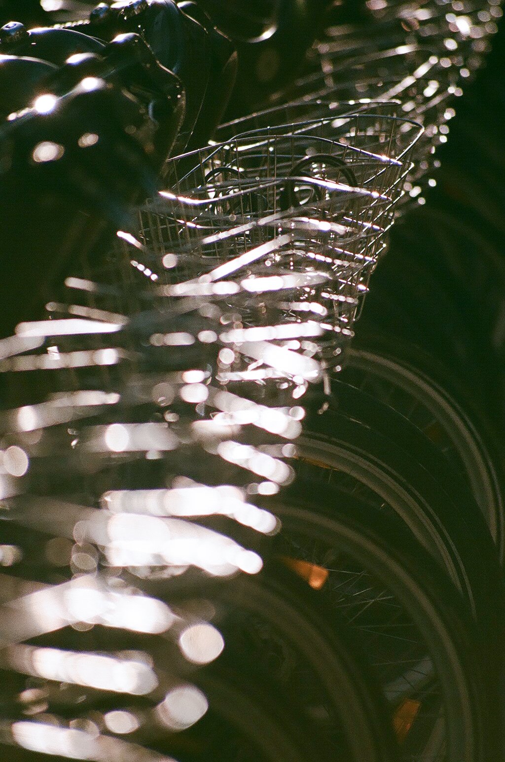 91570035.jpg